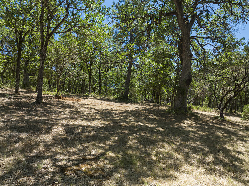 1185 W Jones Creek Road