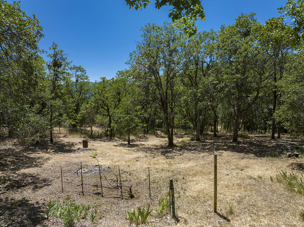 1185 W Jones Creek Road