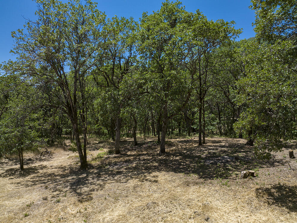 1185 W Jones Creek Road