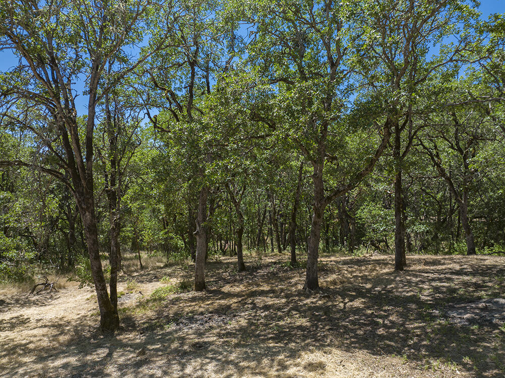 1185 W Jones Creek Road