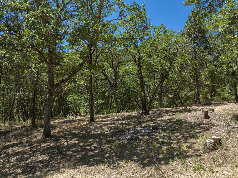 1185 W Jones Creek Road