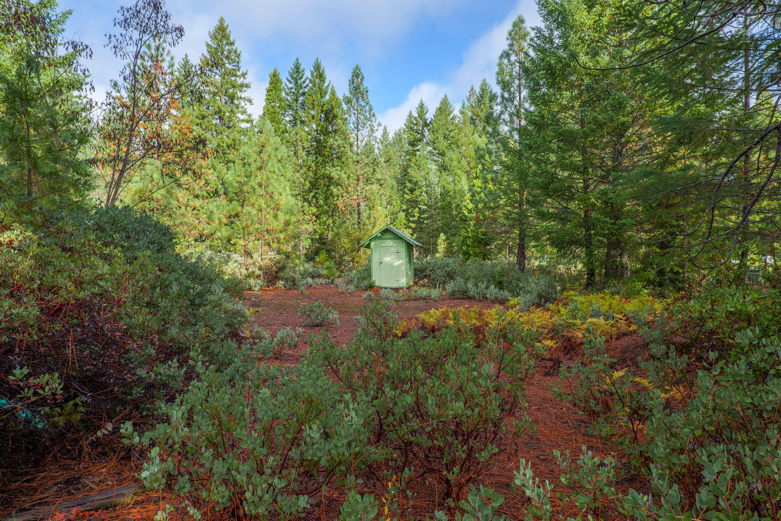 181 Rubin Drive, O'Brien