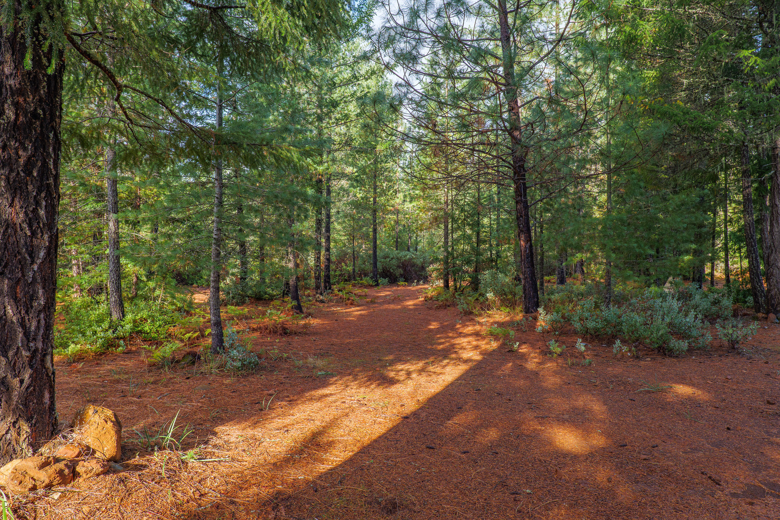 181 Rubin Drive, O'Brien