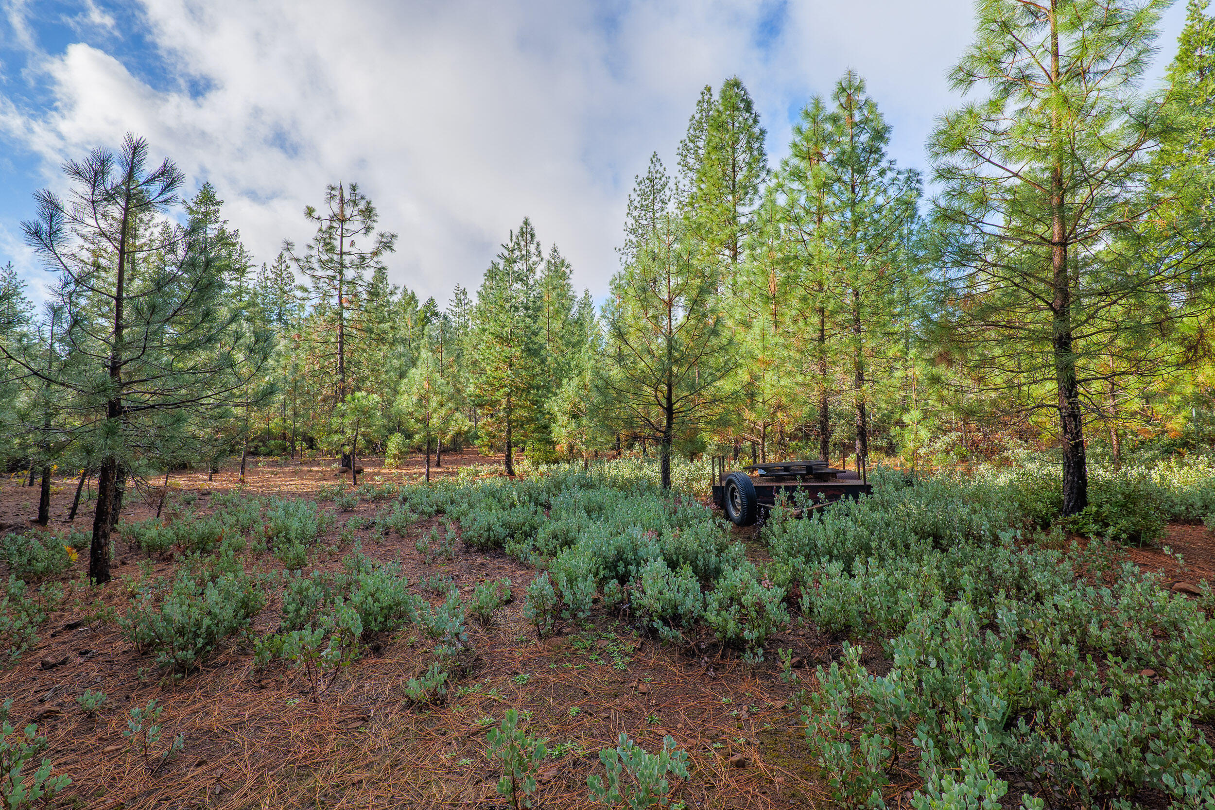 181 Rubin Drive, O'Brien