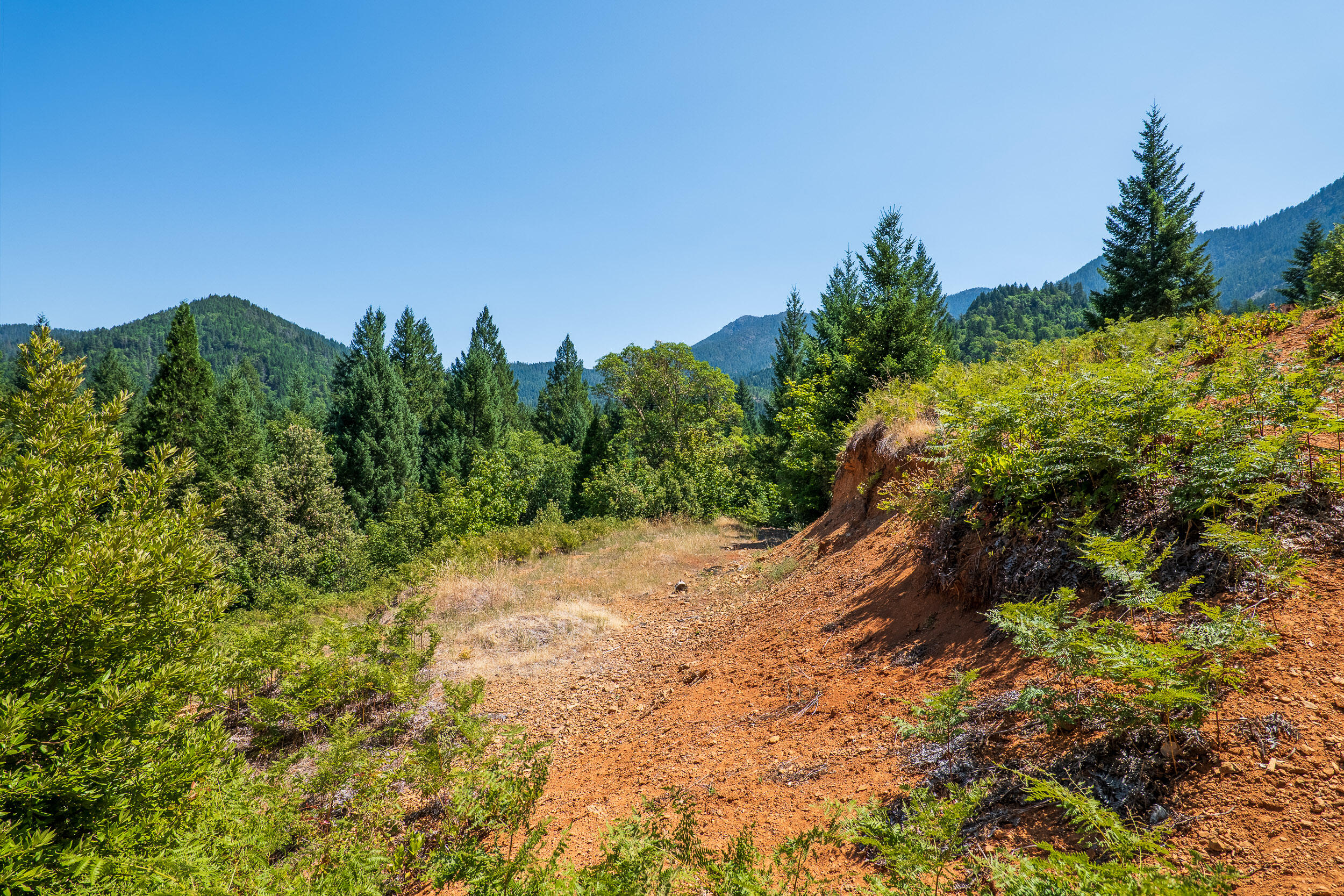 4651 Thompson Creek Road