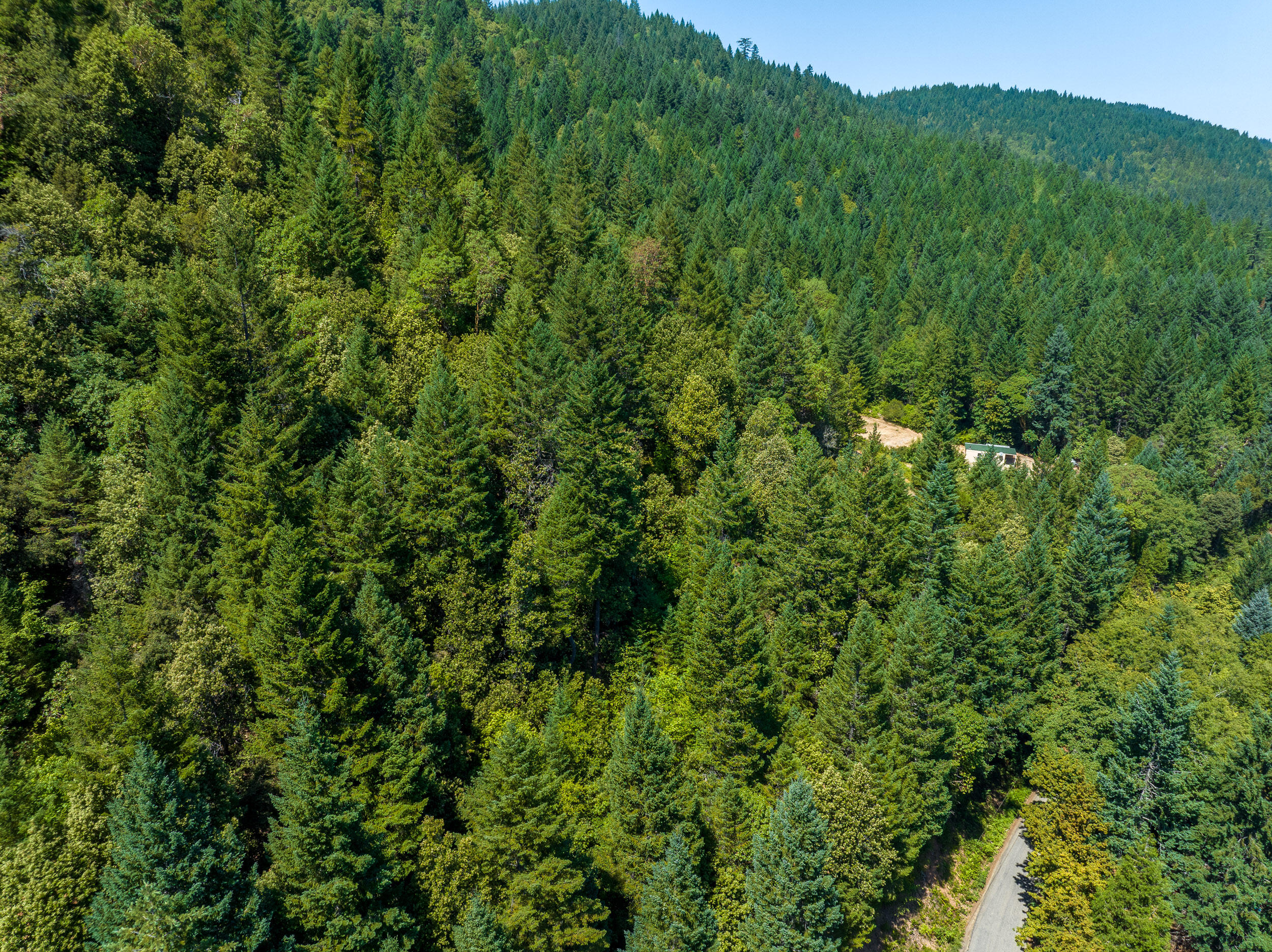 4651 Thompson Creek Road