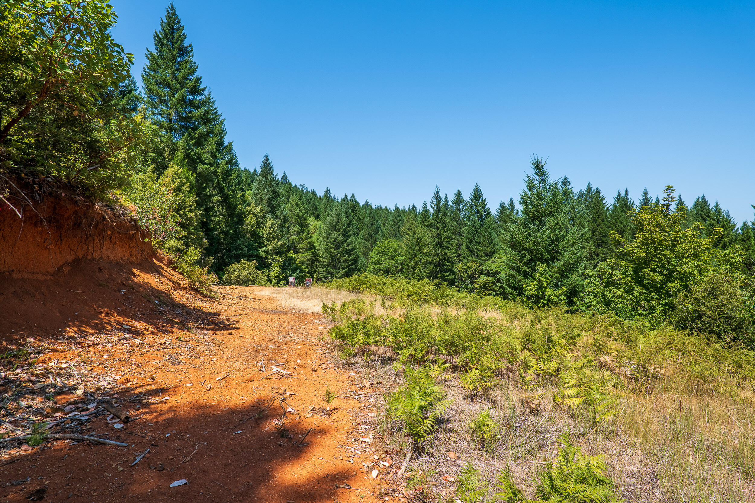 4651 Thompson Creek Road