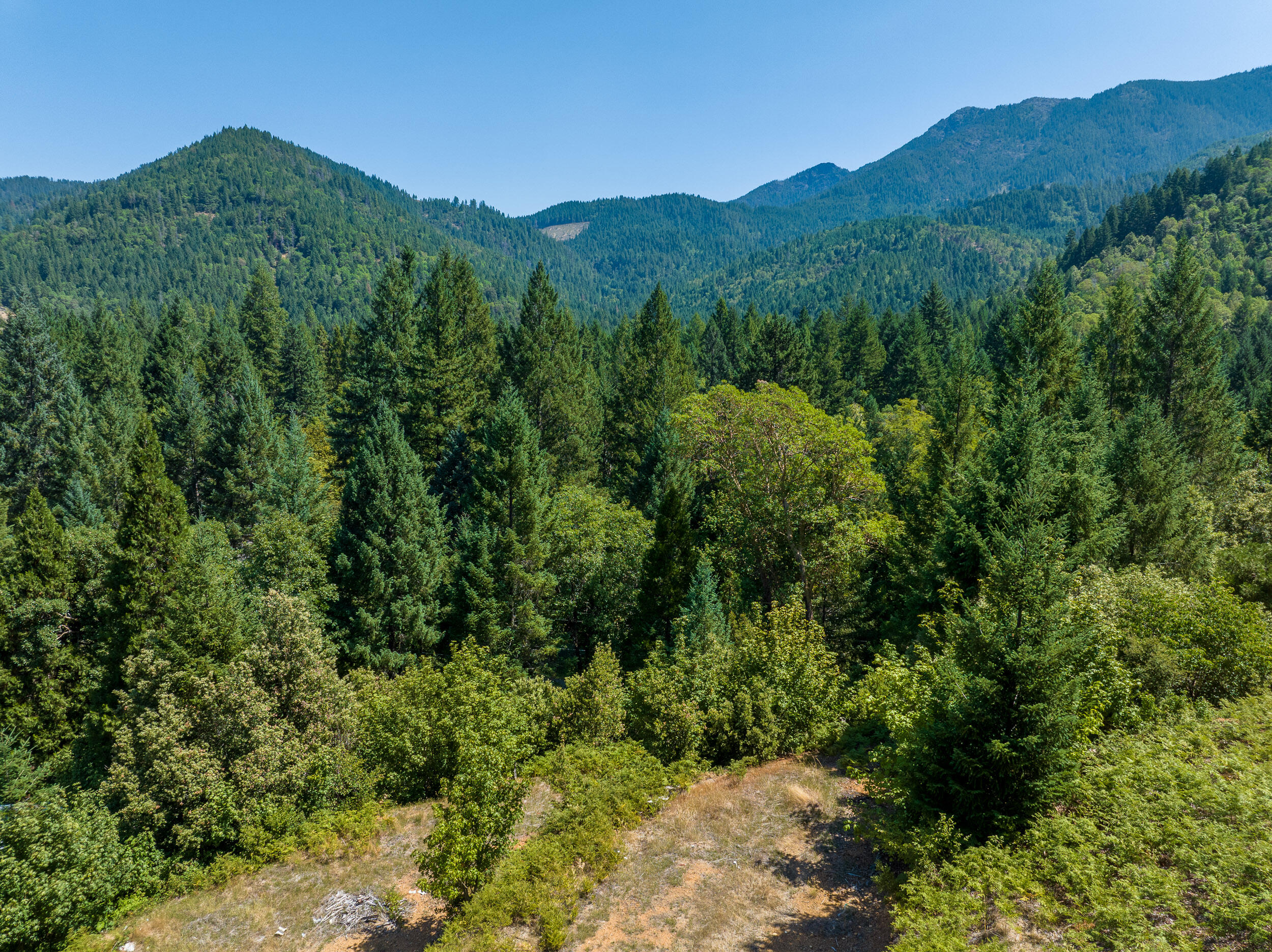 4651 Thompson Creek Road