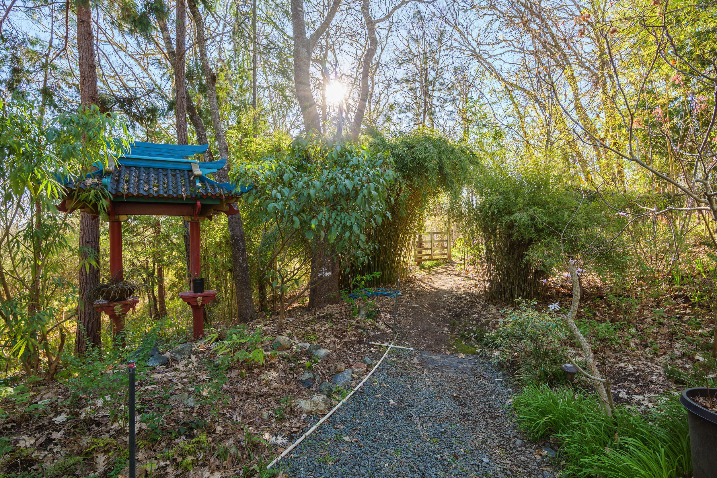 3800 Russell Road