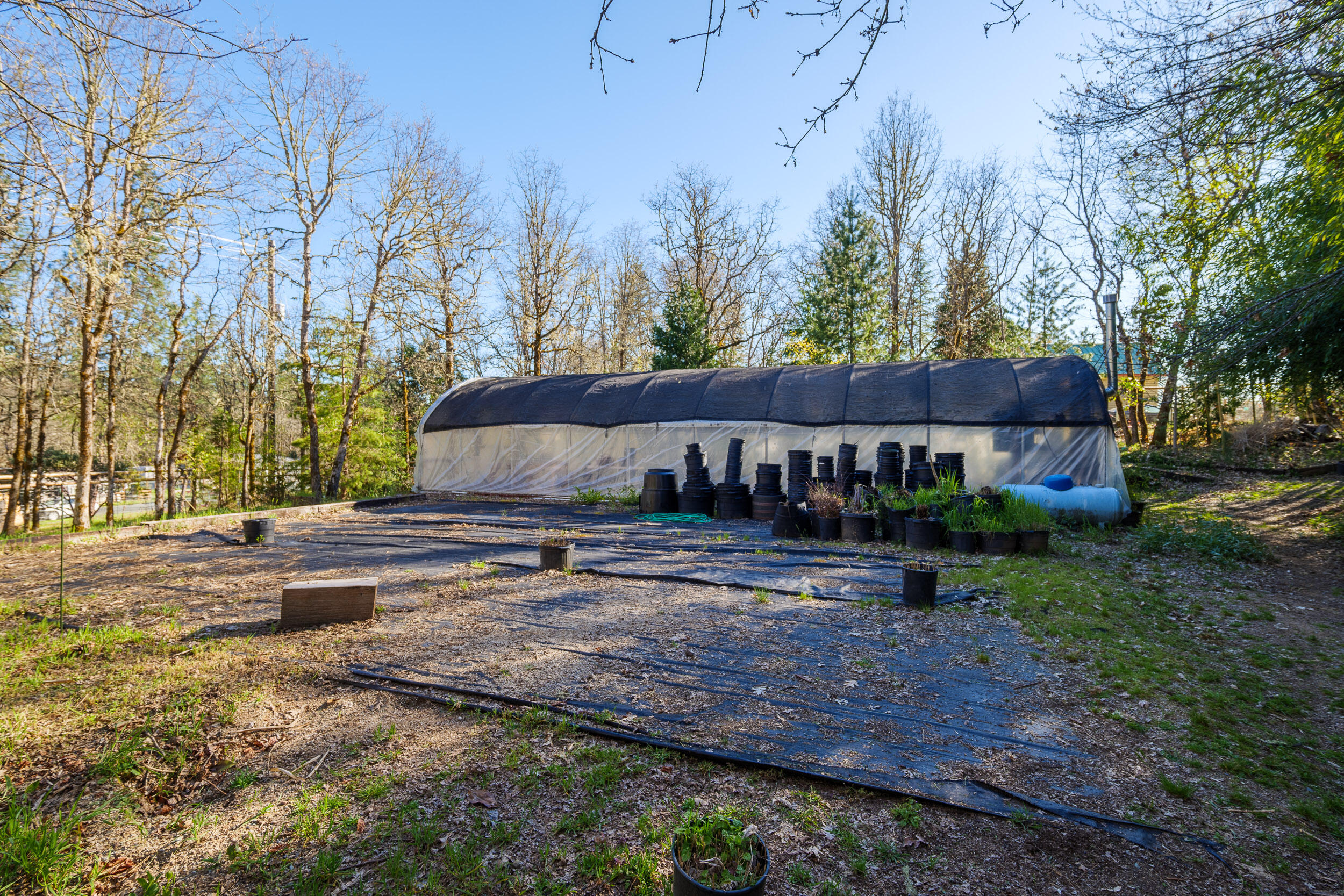 3800 Russell Road
