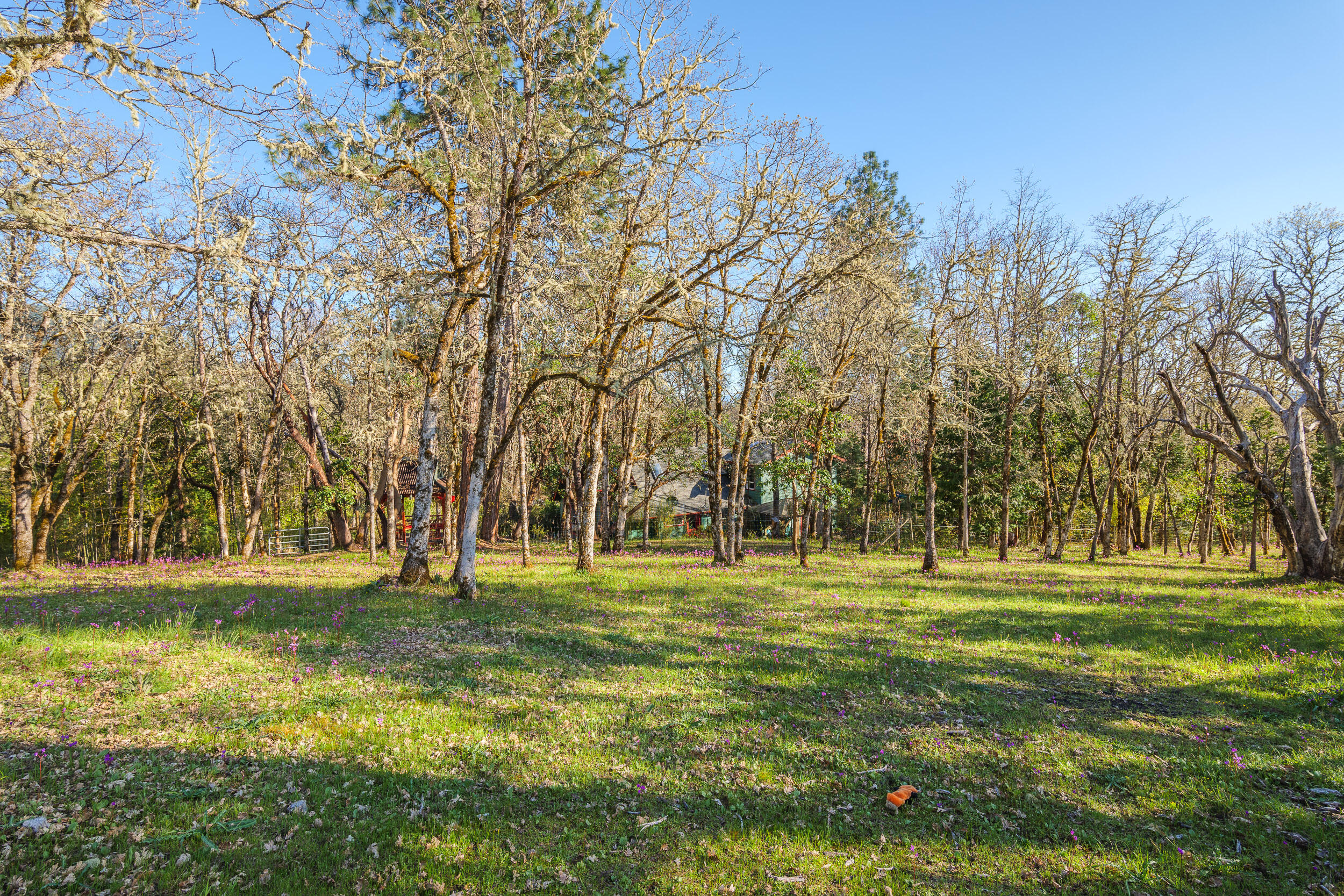 3800 Russell Road