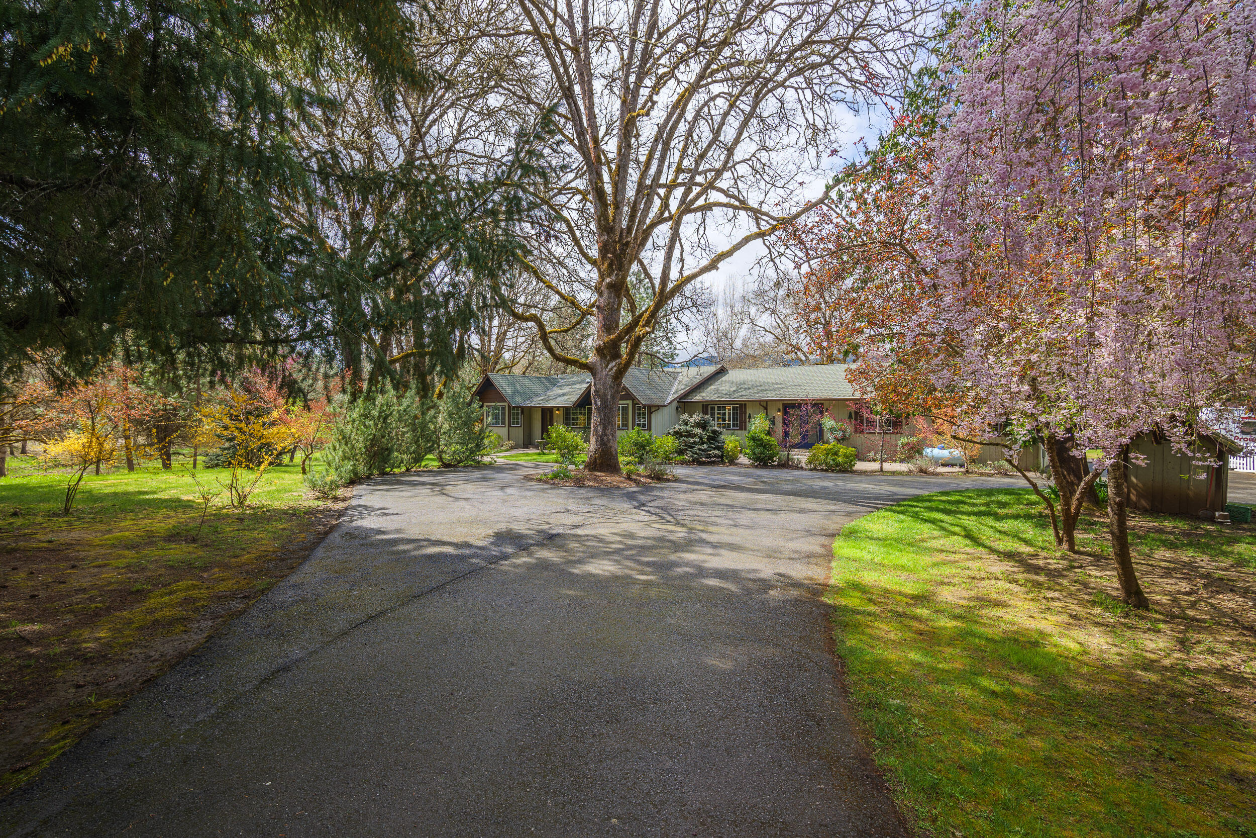 1255 Pleasant Creek Road