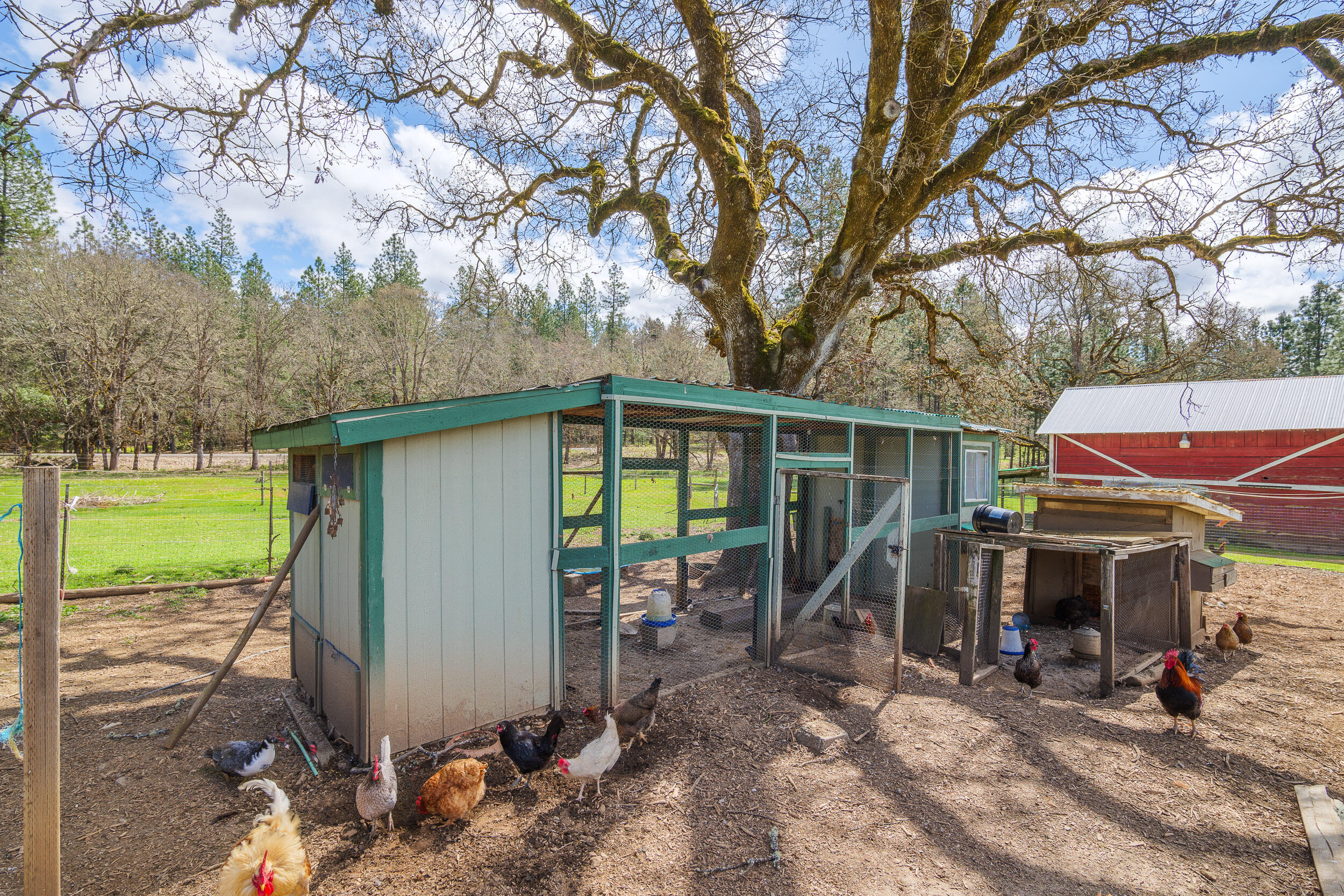 1255 Pleasant Creek Road