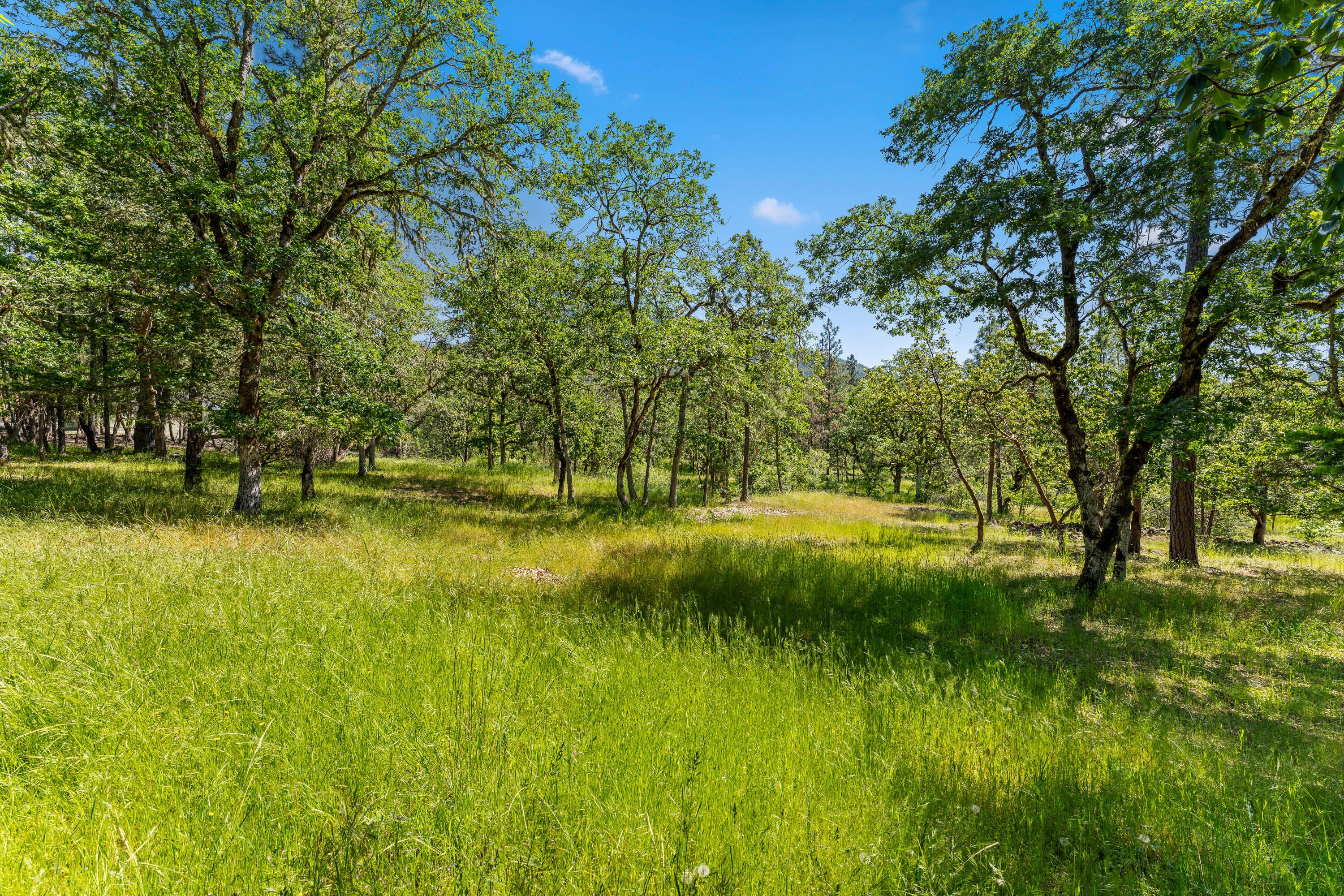 1695 Soldier Creek Road