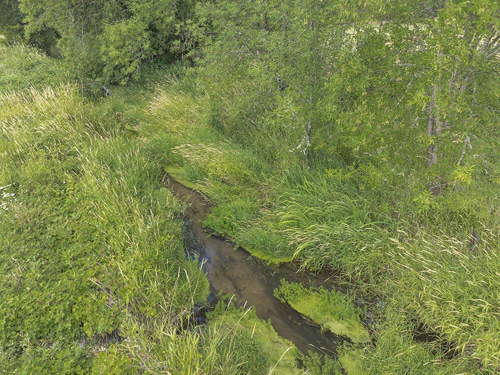 4441 Upper River Road