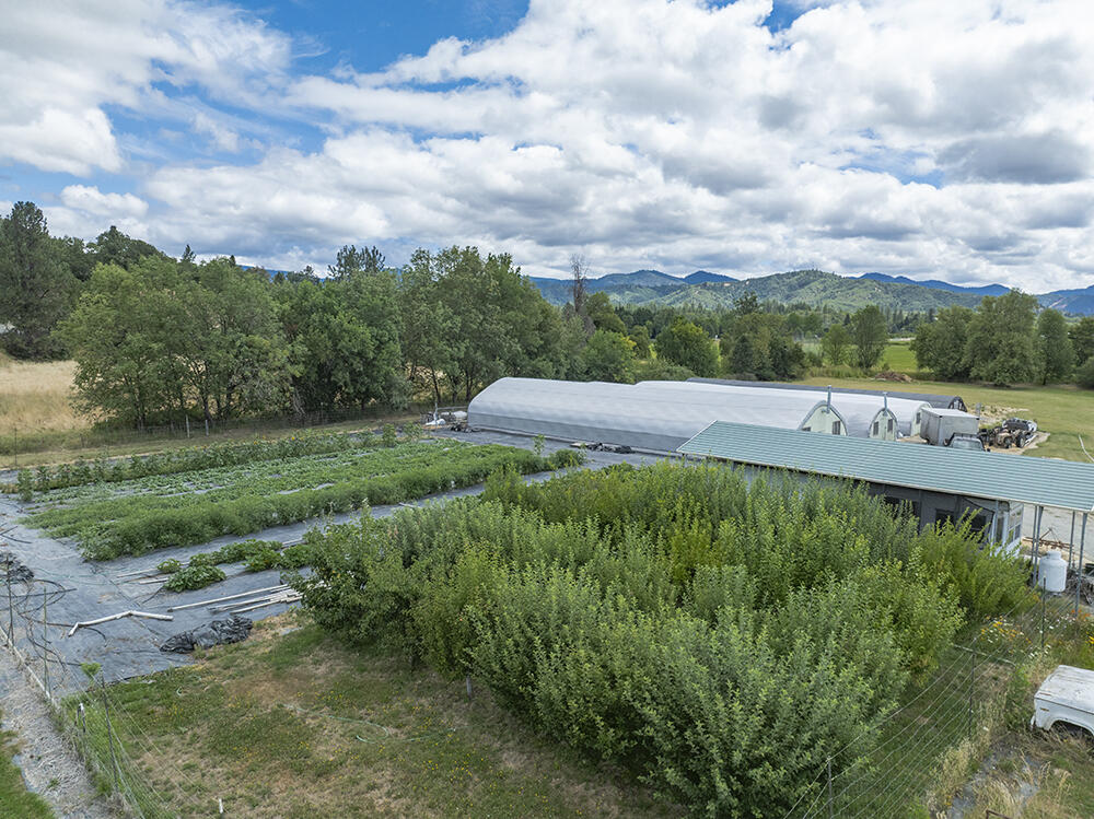 4441 Upper River Road