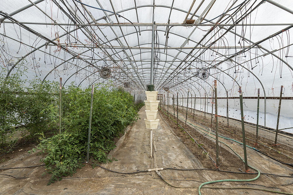 4441 Upper River Road