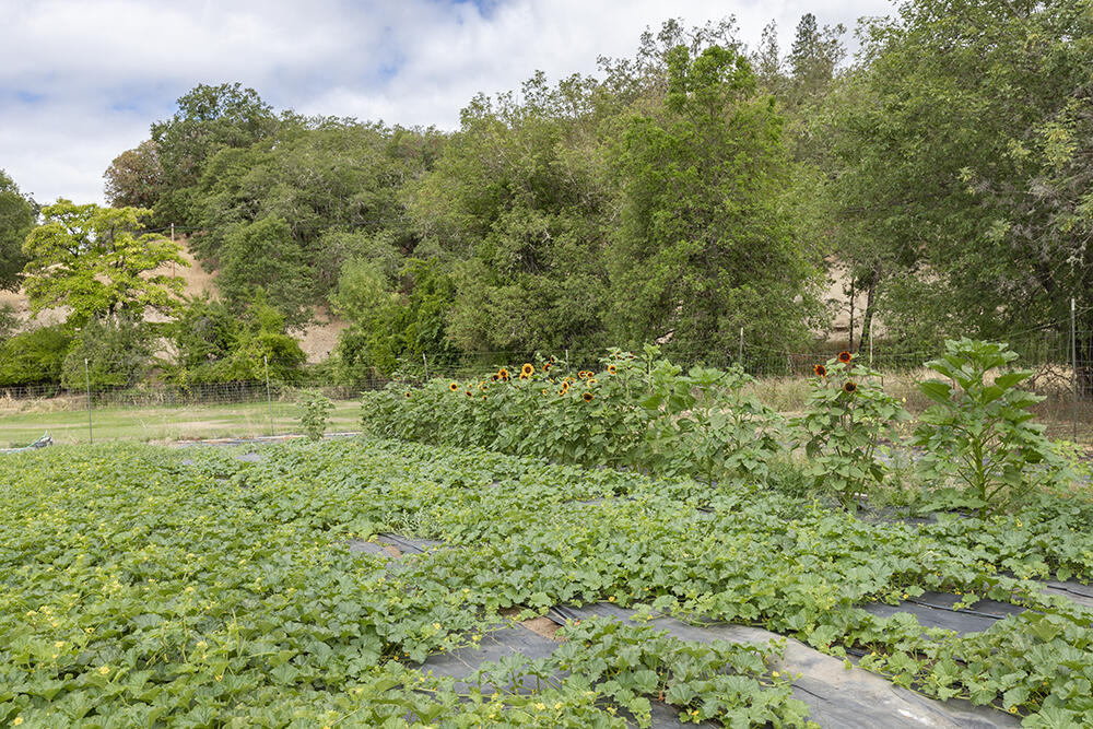 4441 Upper River Road