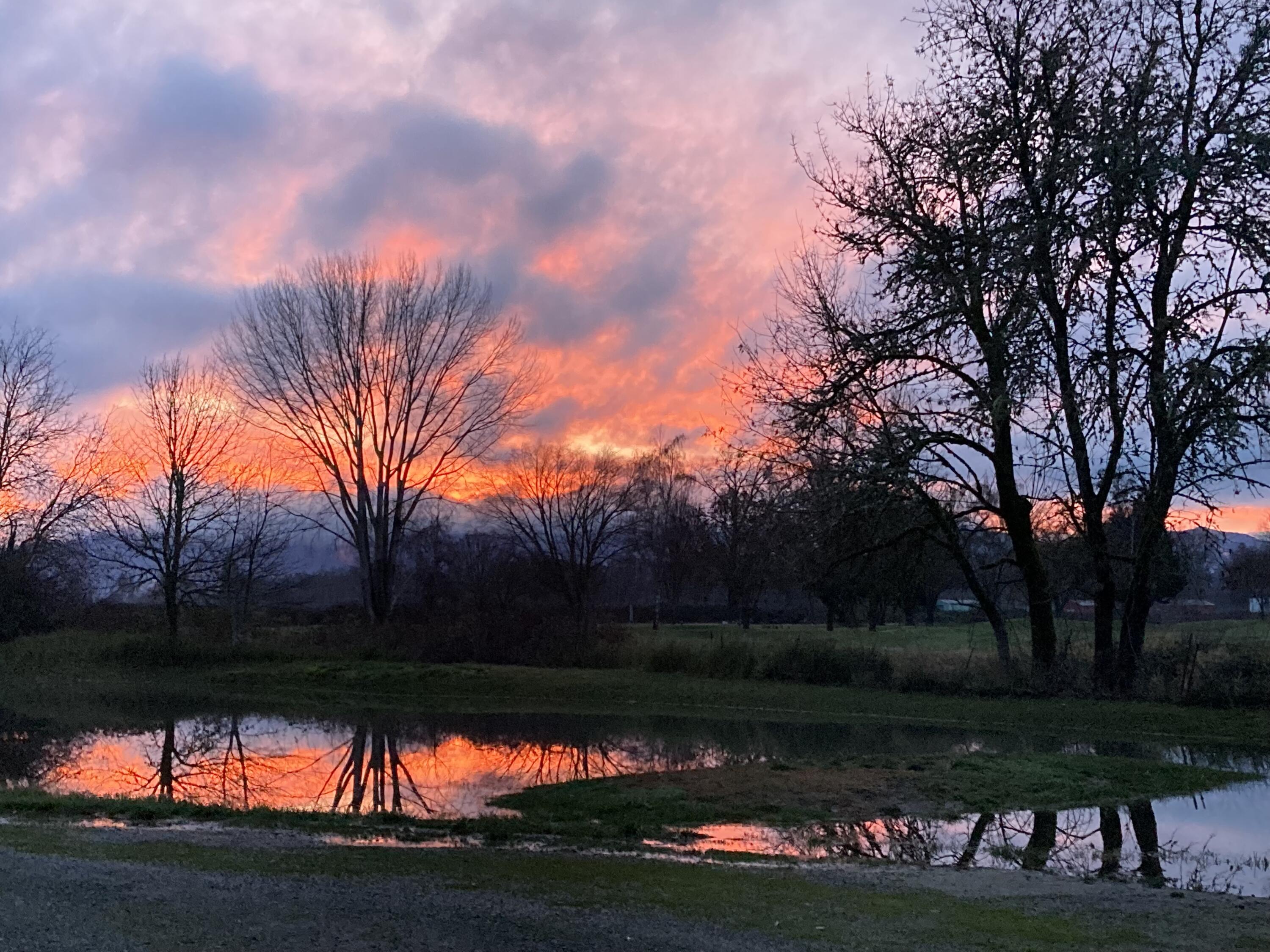 4441 Upper River Road