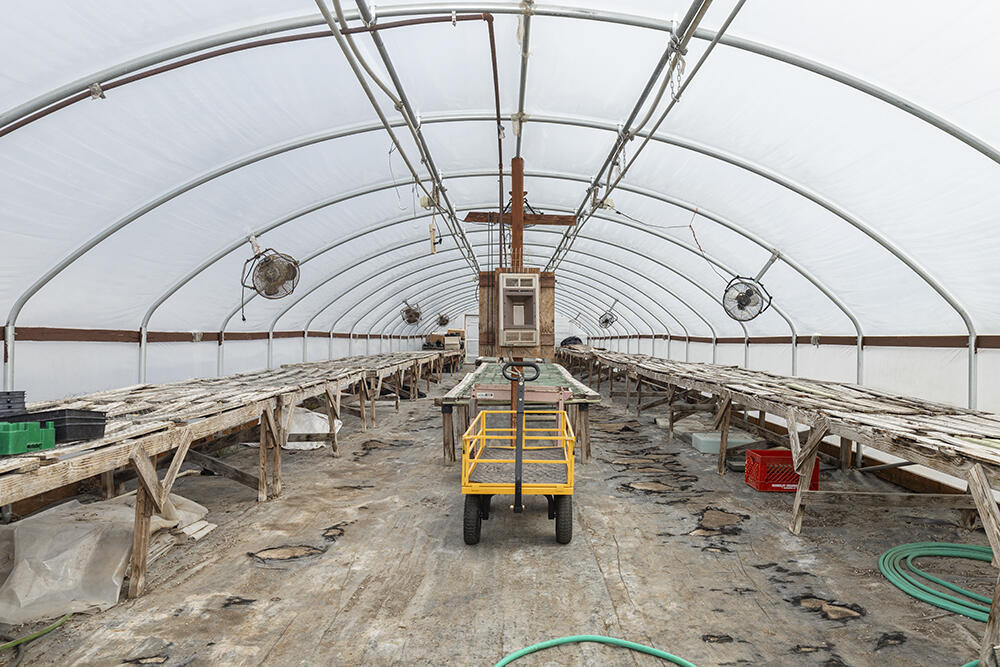 4441 Upper River Road