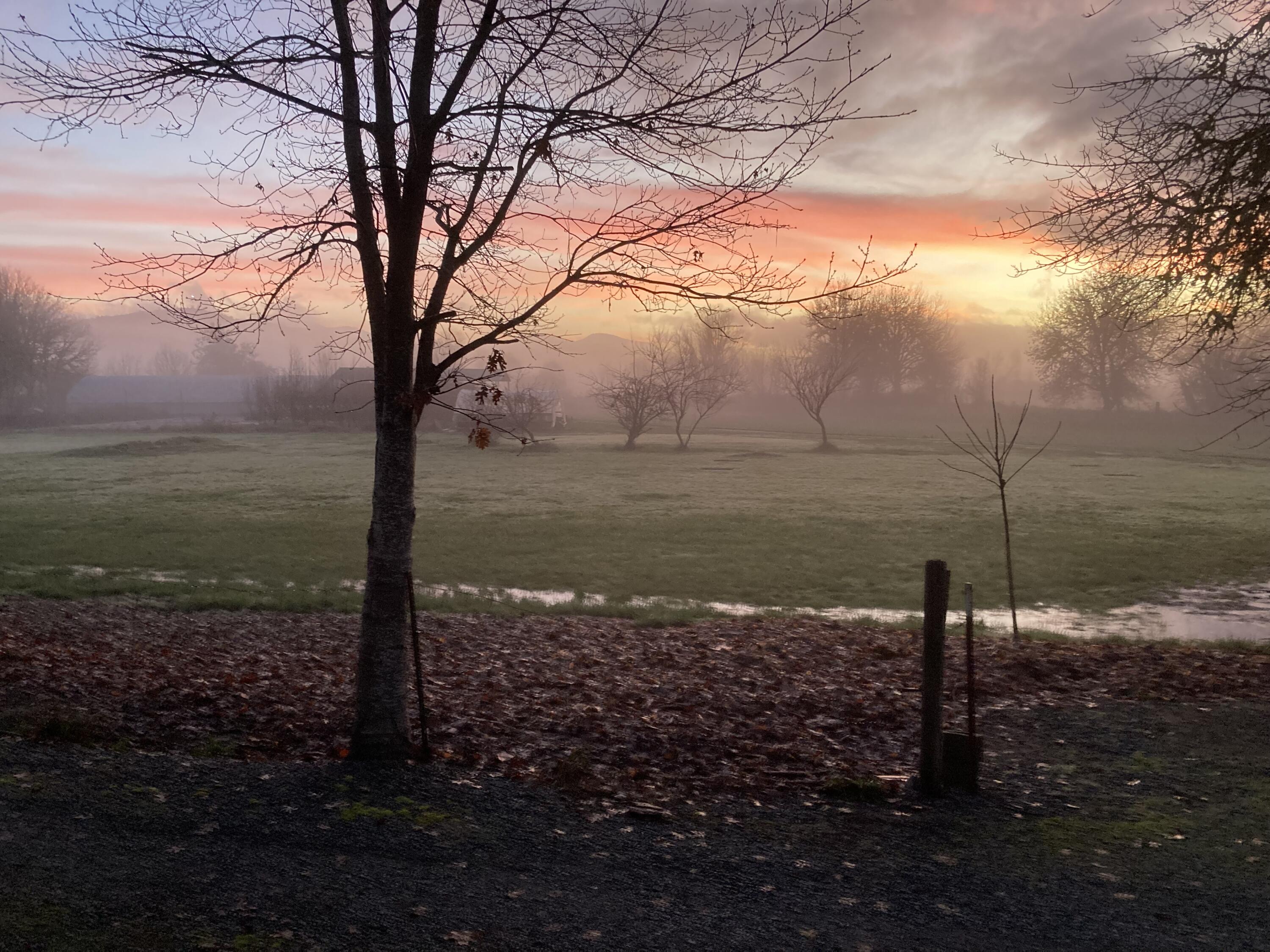 4441 Upper River Road