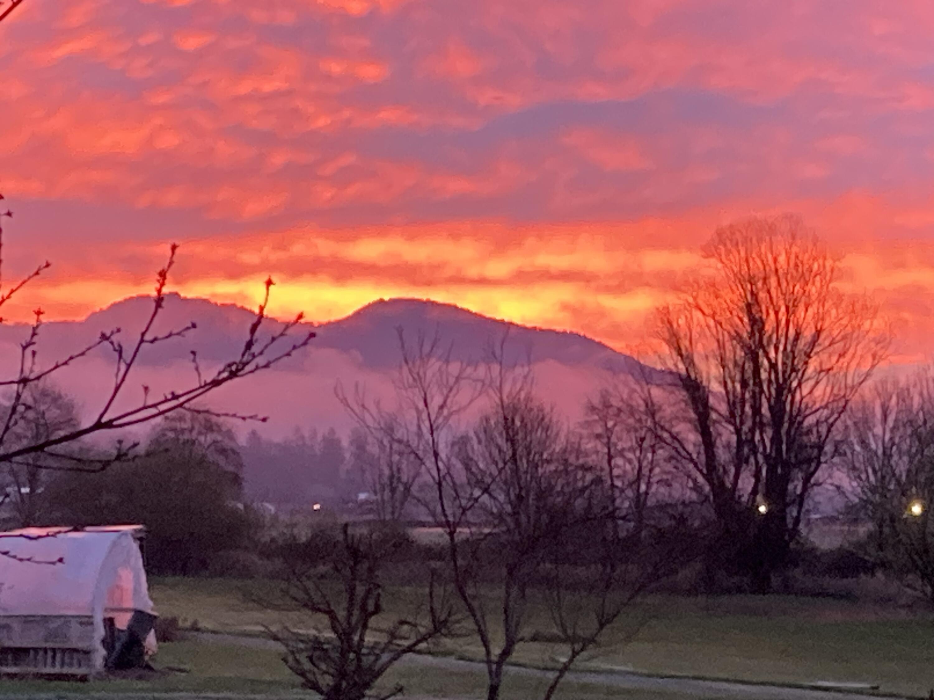 4441 Upper River Road