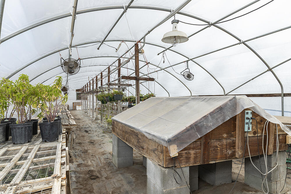 4441 Upper River Road