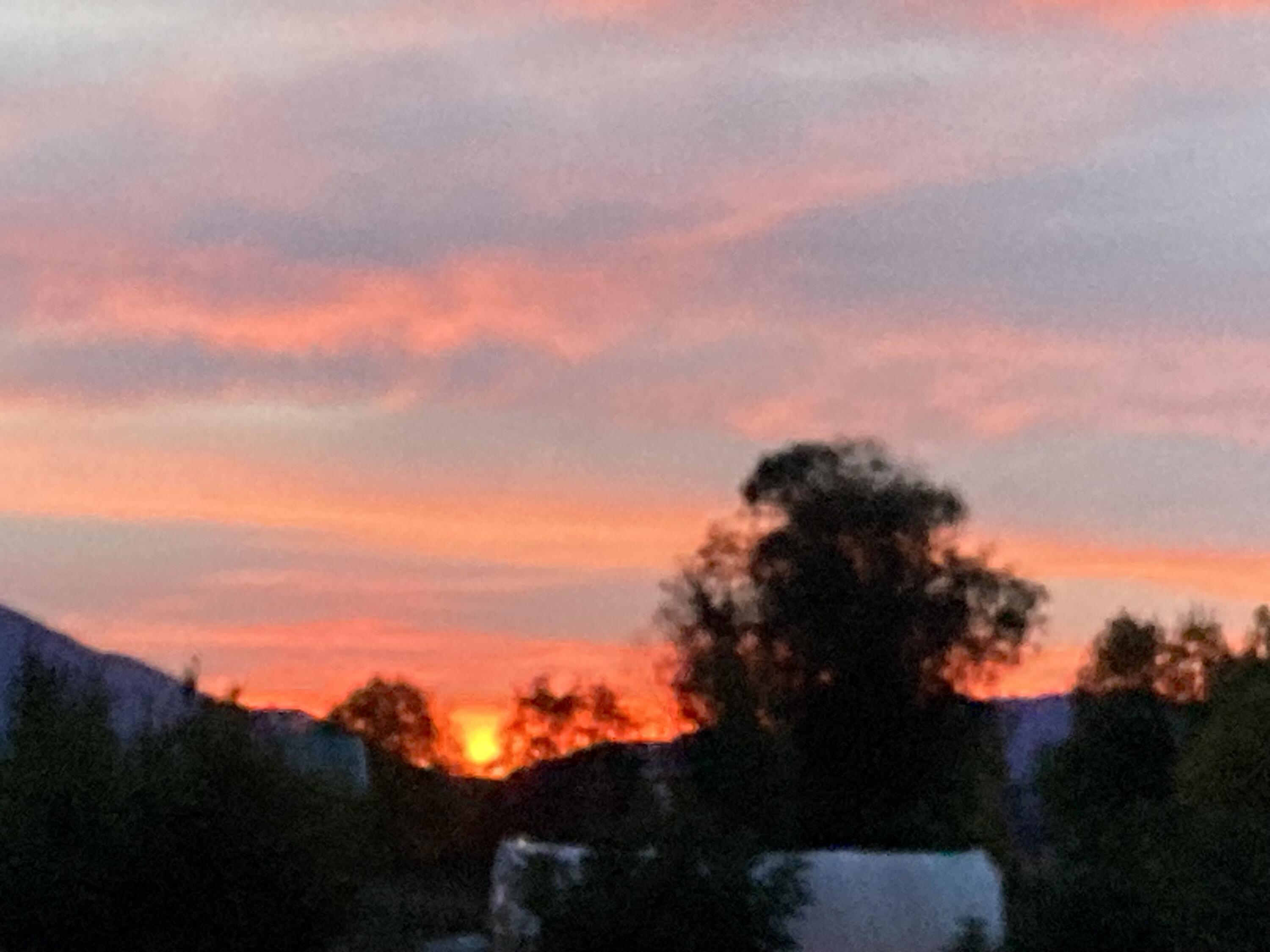 4441 Upper River Road