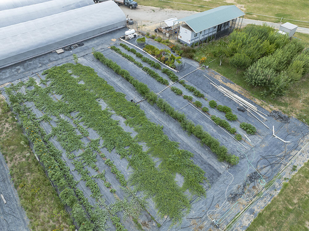 4441 Upper River Road