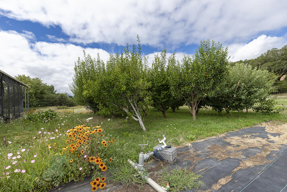 4441 Upper River Road