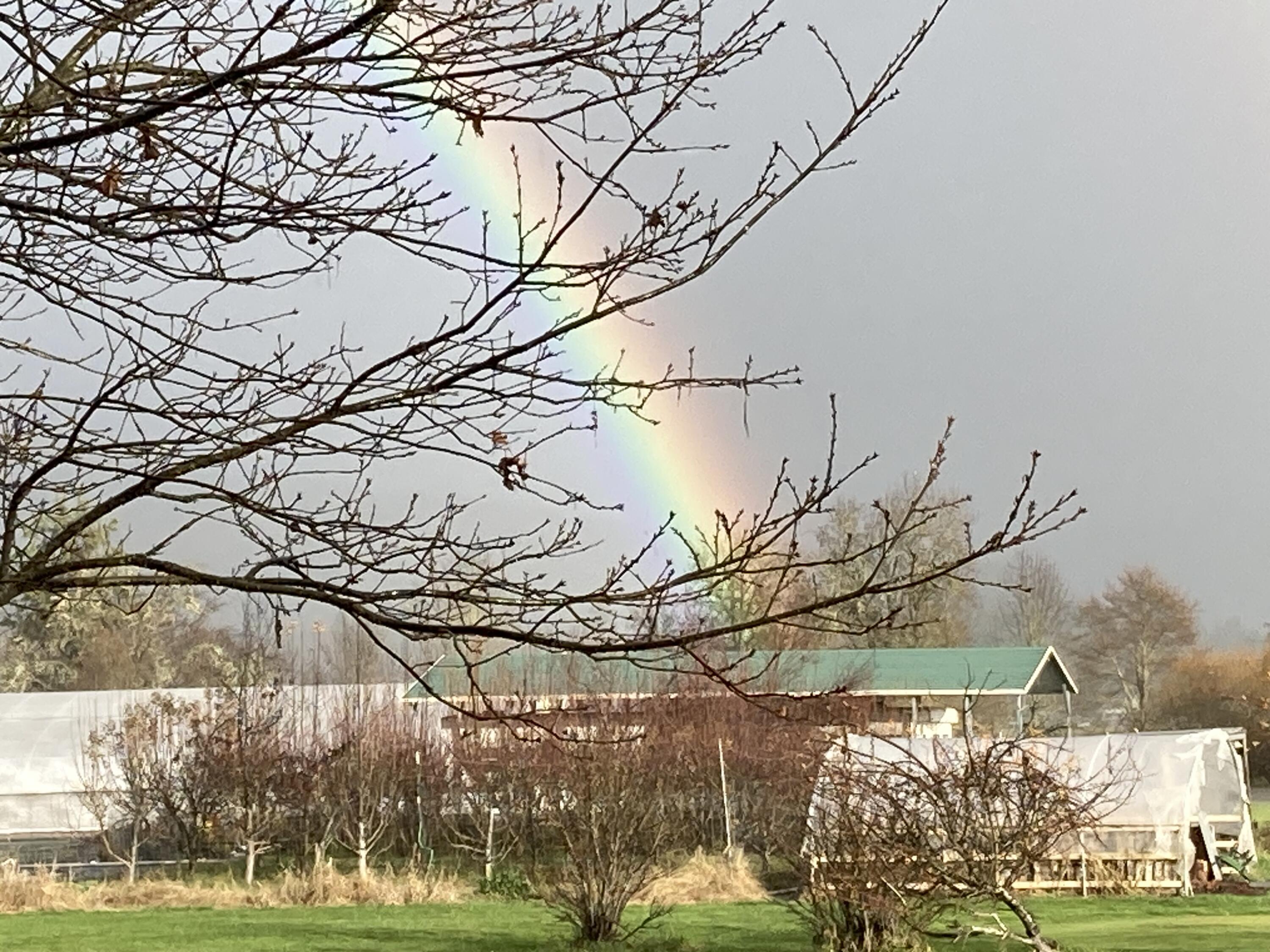 4441 Upper River Road