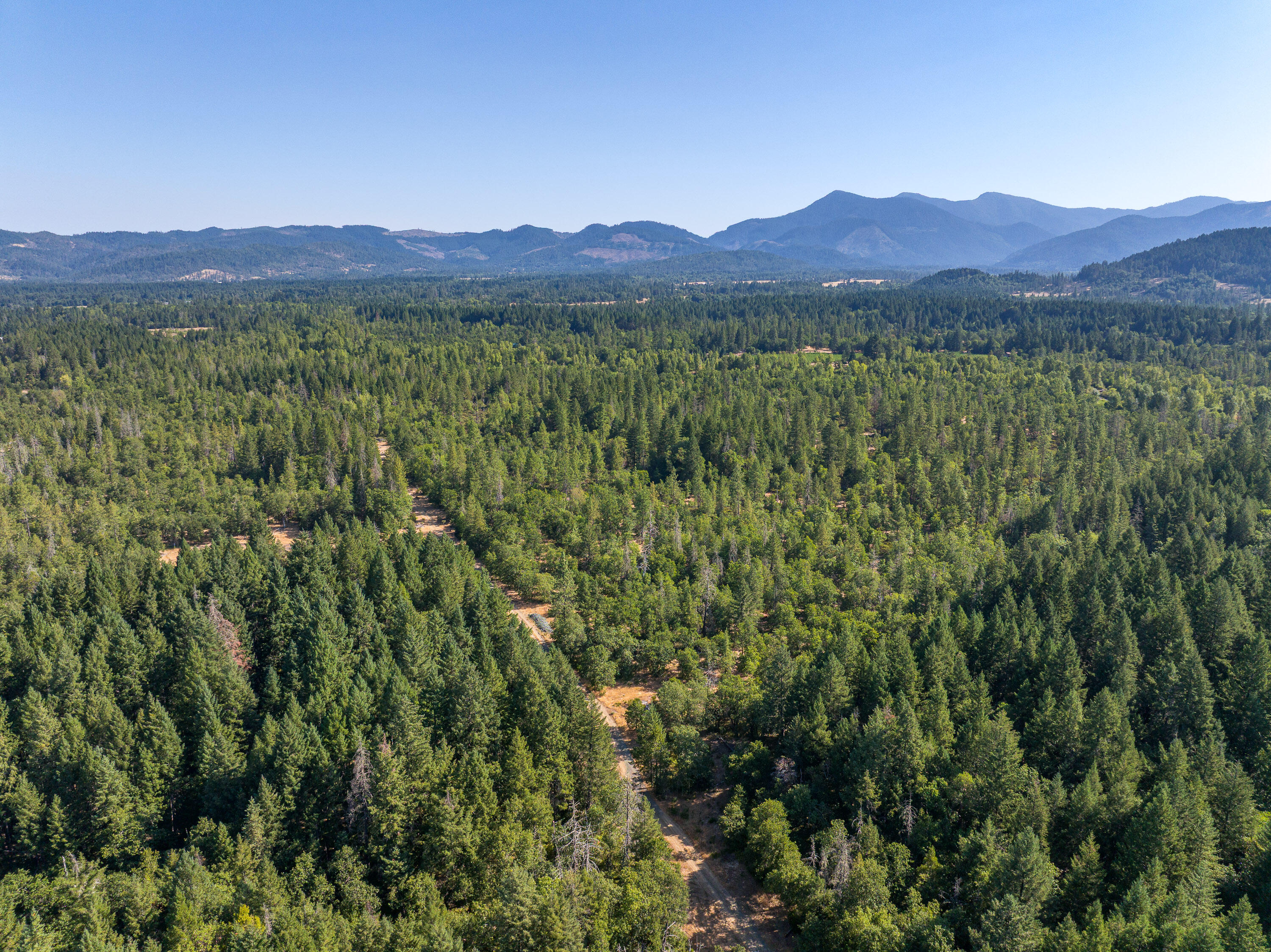 1257 Ridge Vista Drive
