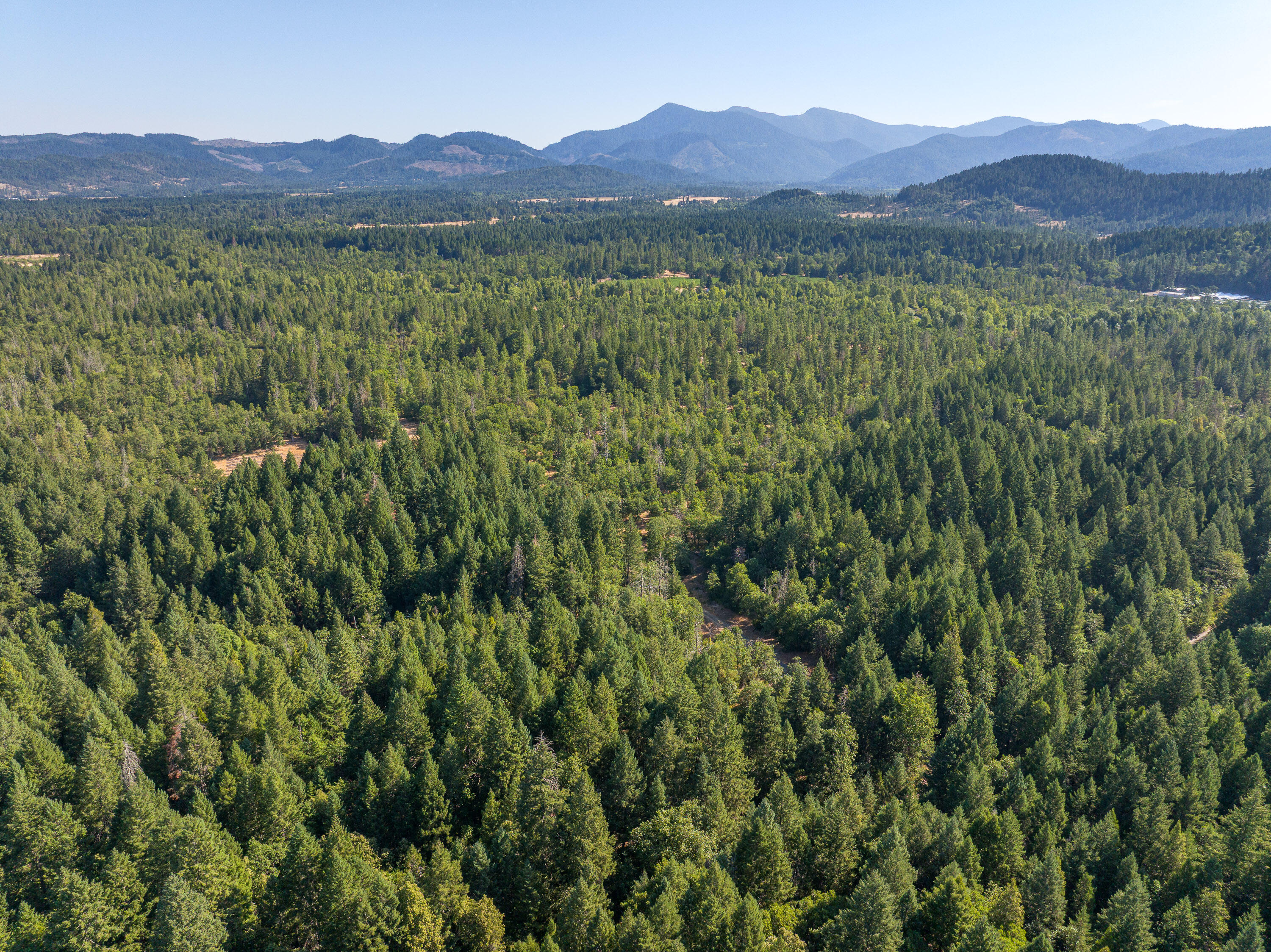 1257 Ridge Vista Drive