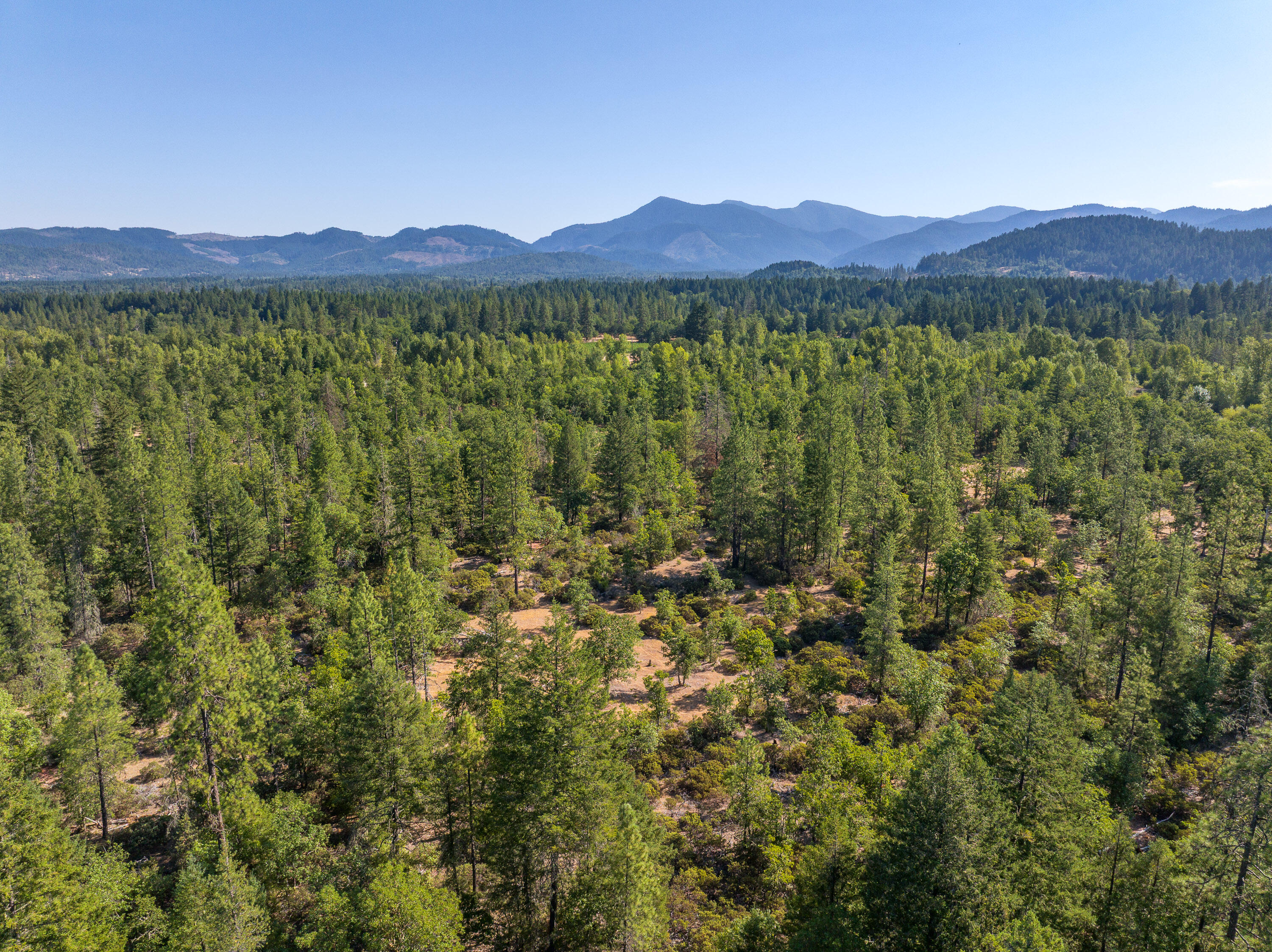 1257 Ridge Vista Drive