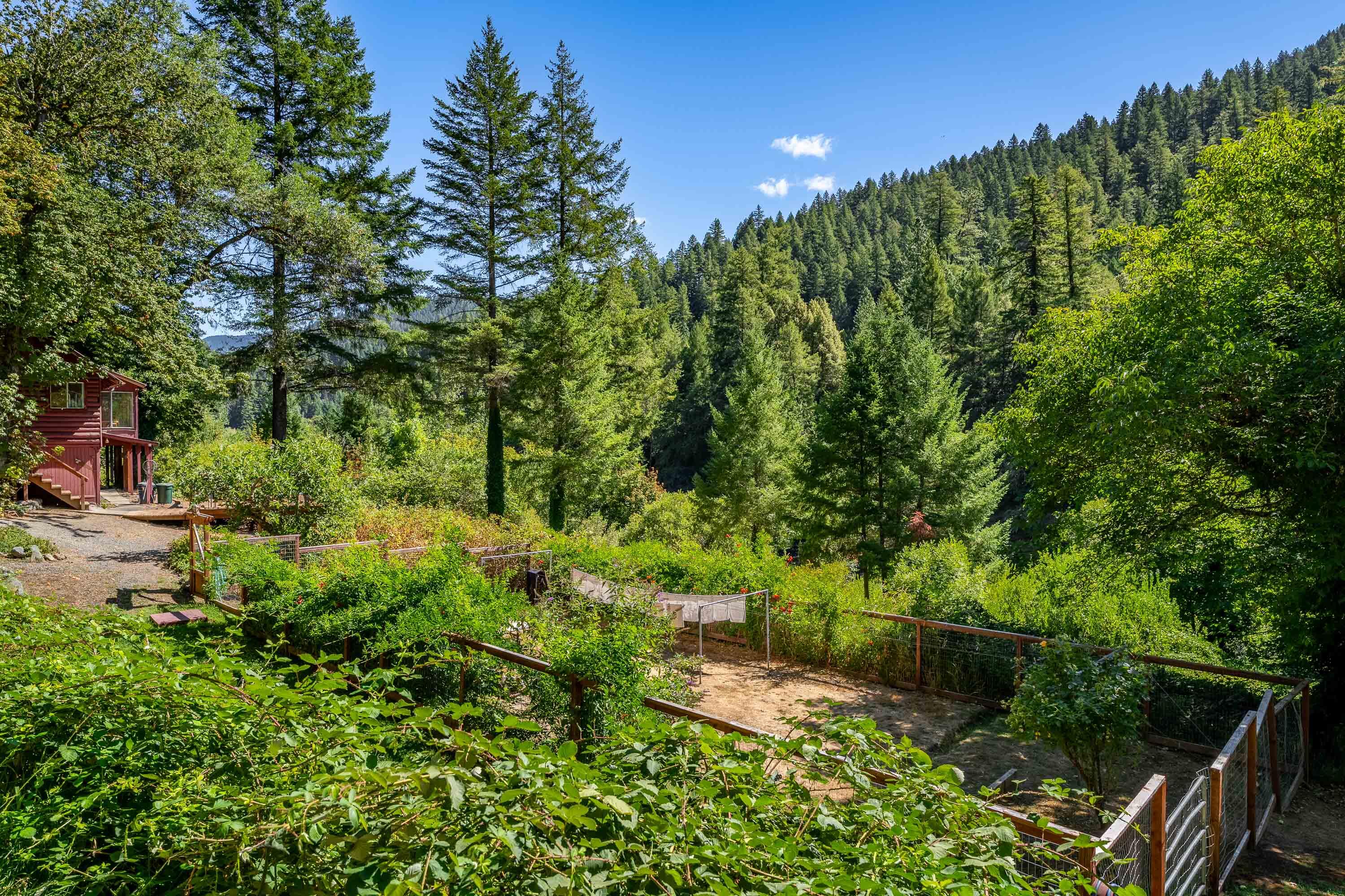 7800 Rogue River