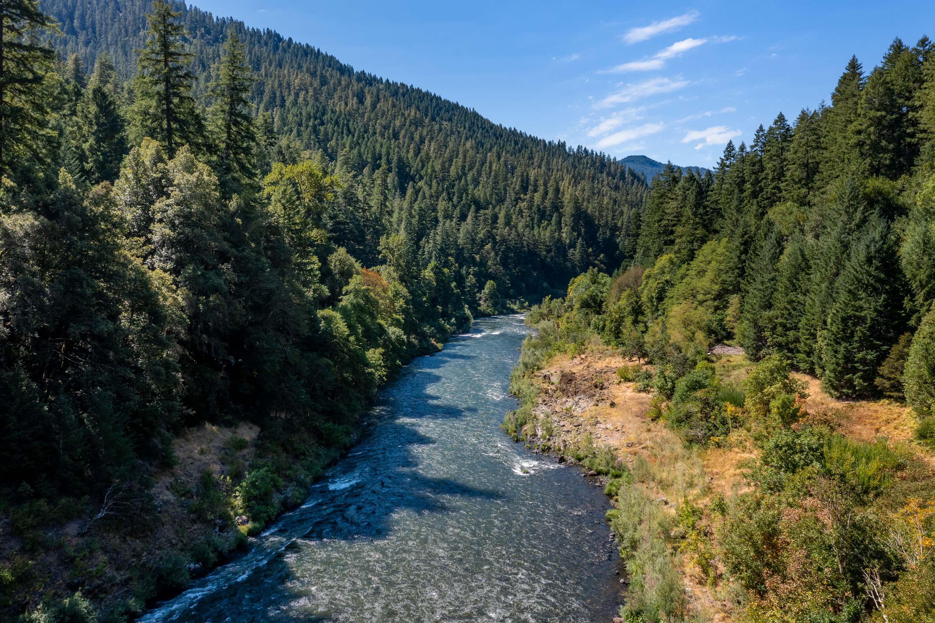 7800 Rogue River