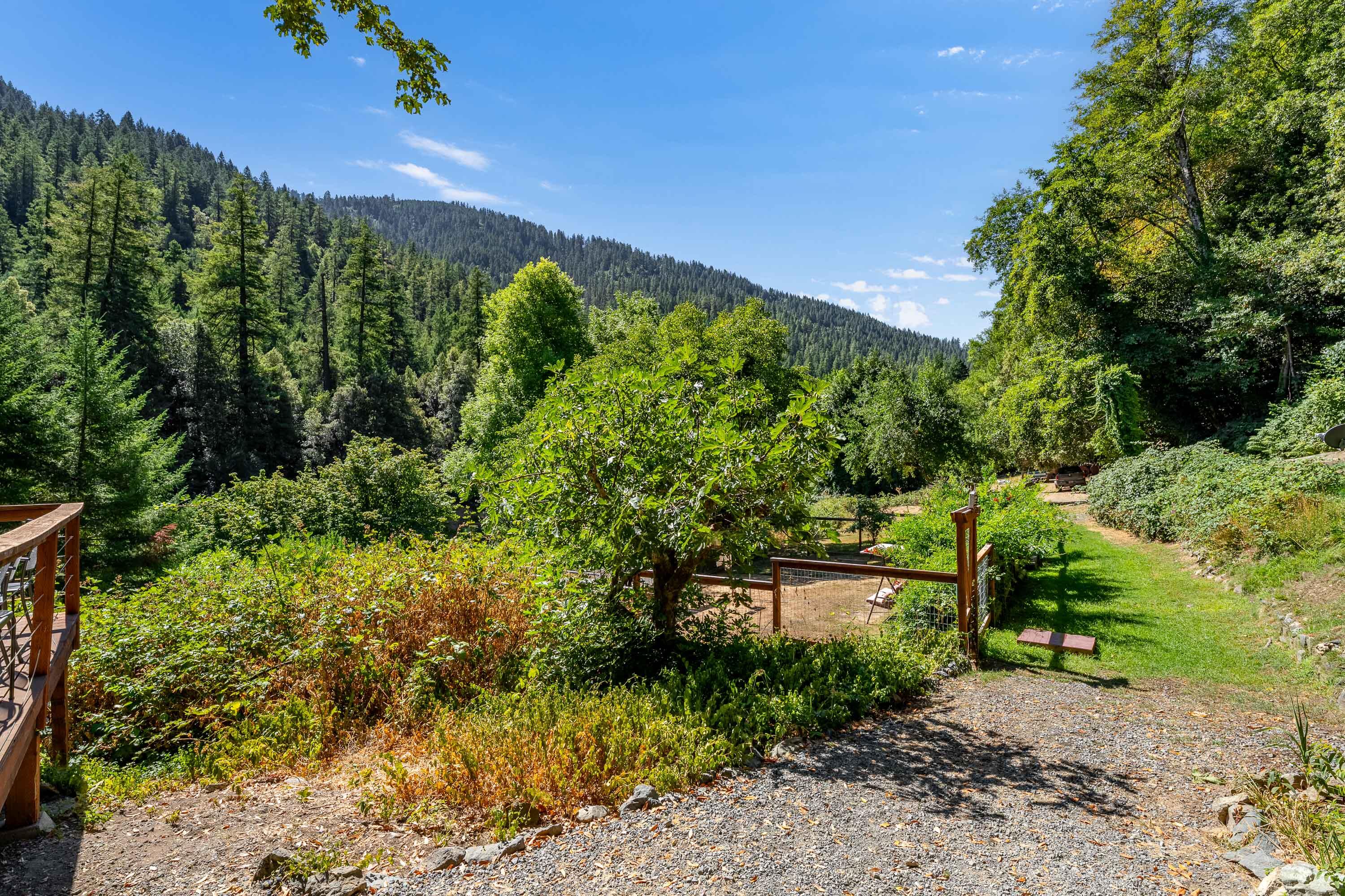 7800 Rogue River