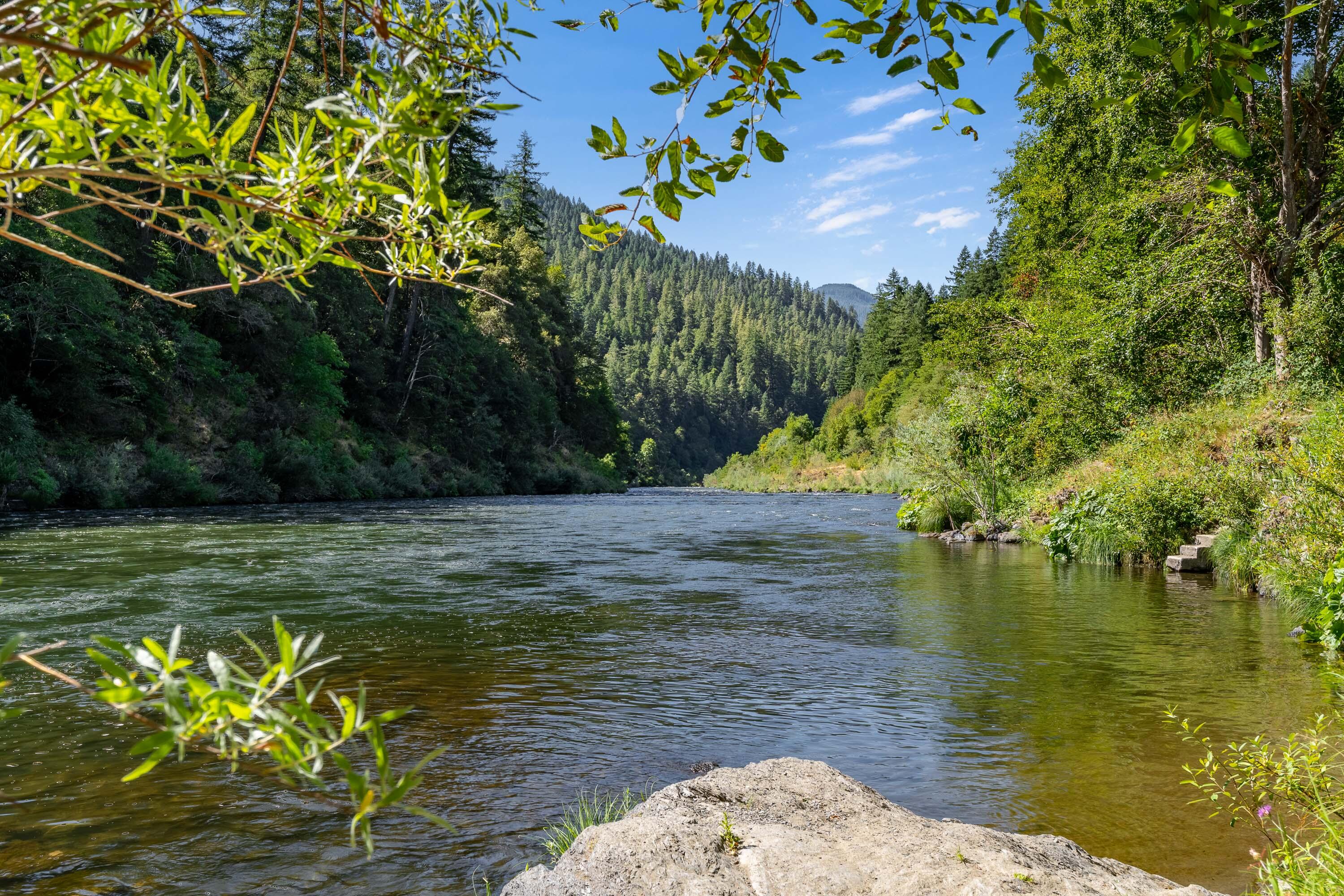 7800 Rogue River