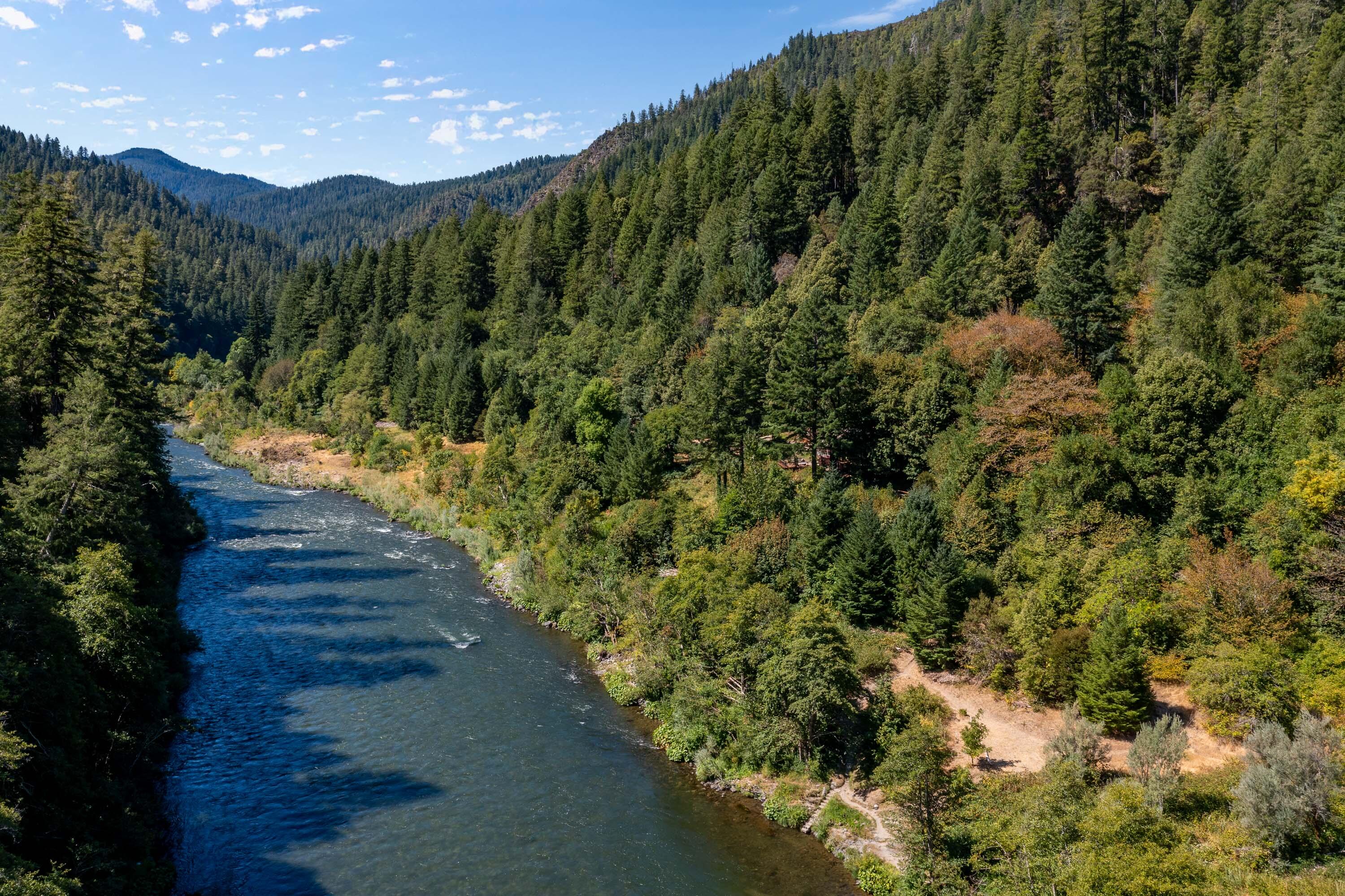 7800 Rogue River