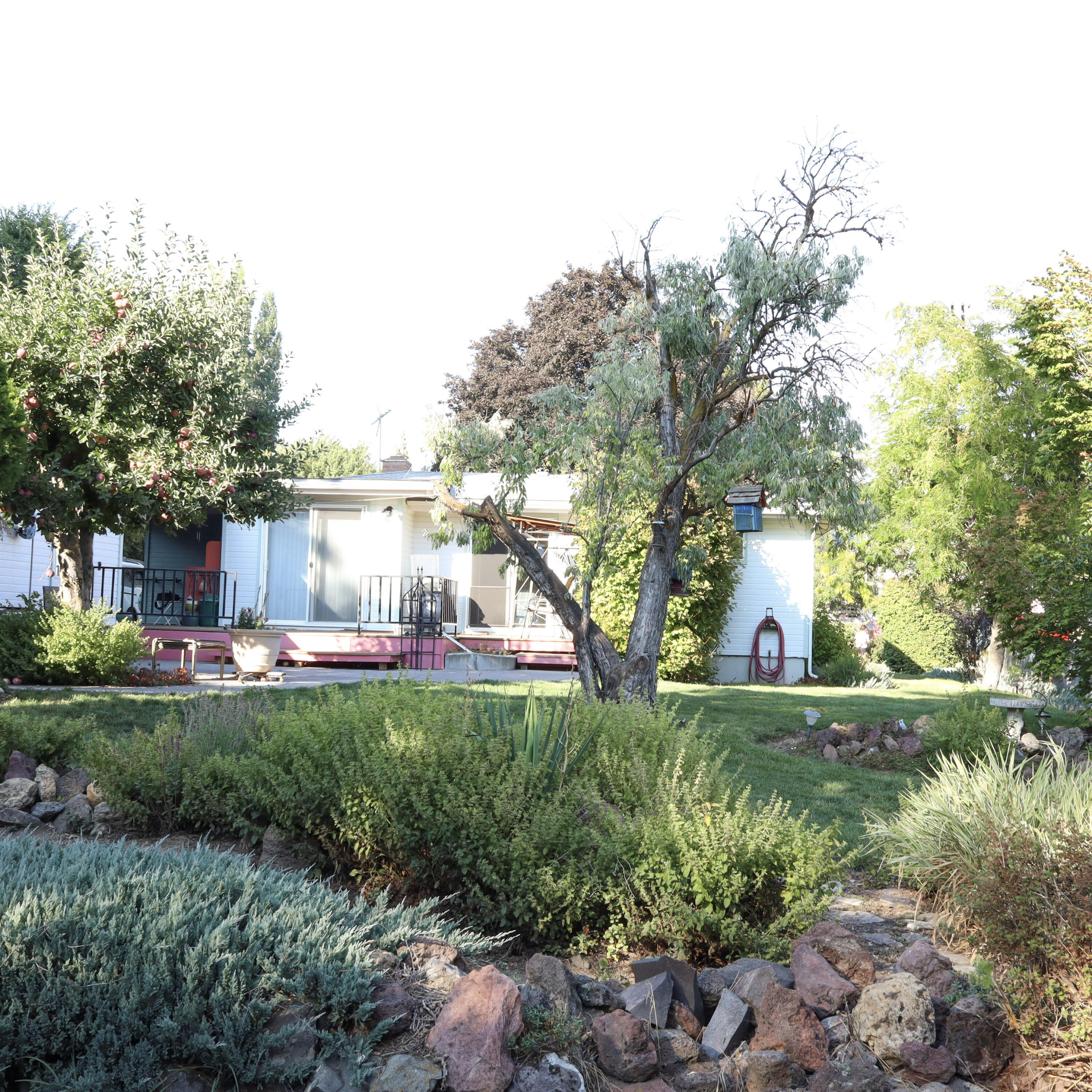 246 Soquel Street