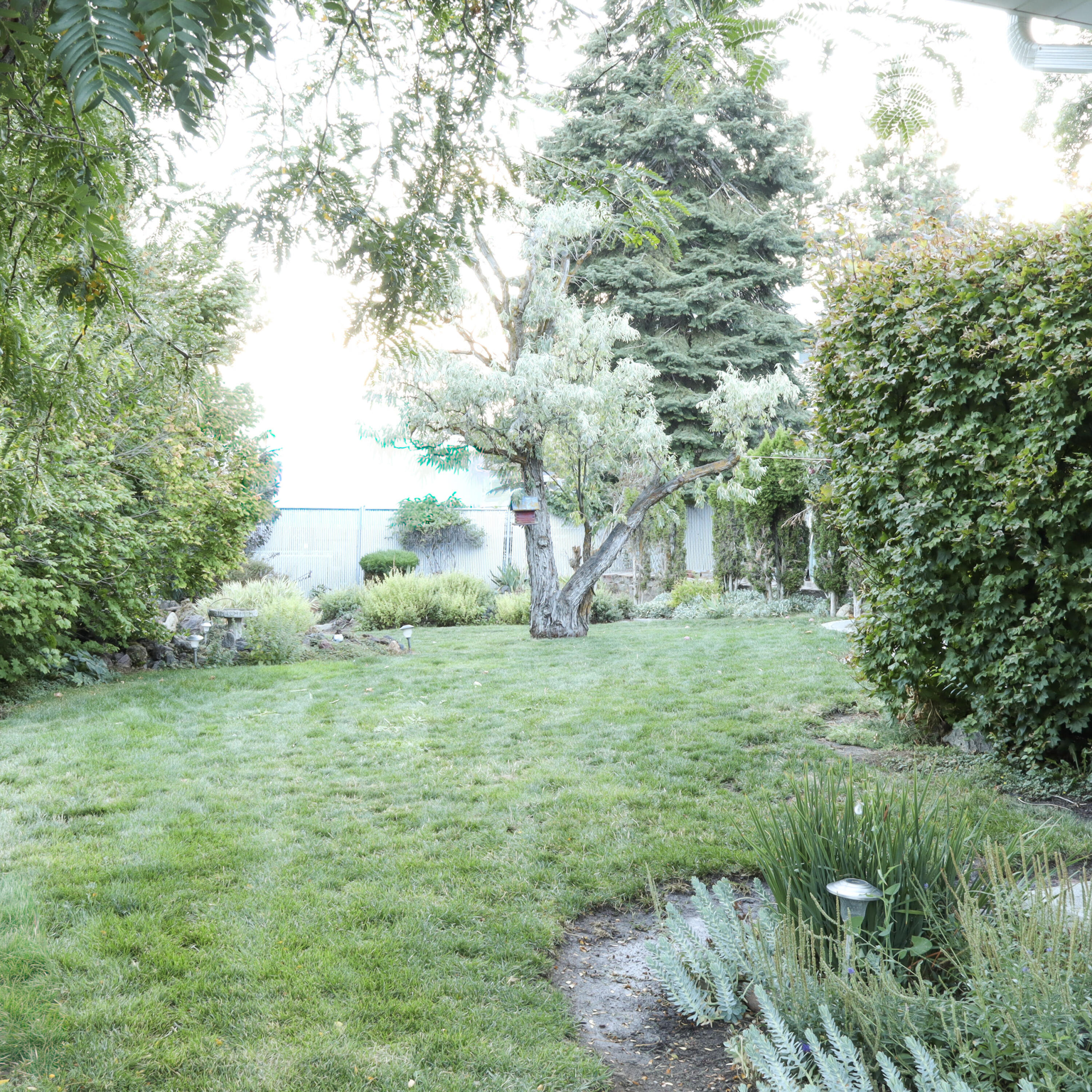 246 Soquel Street
