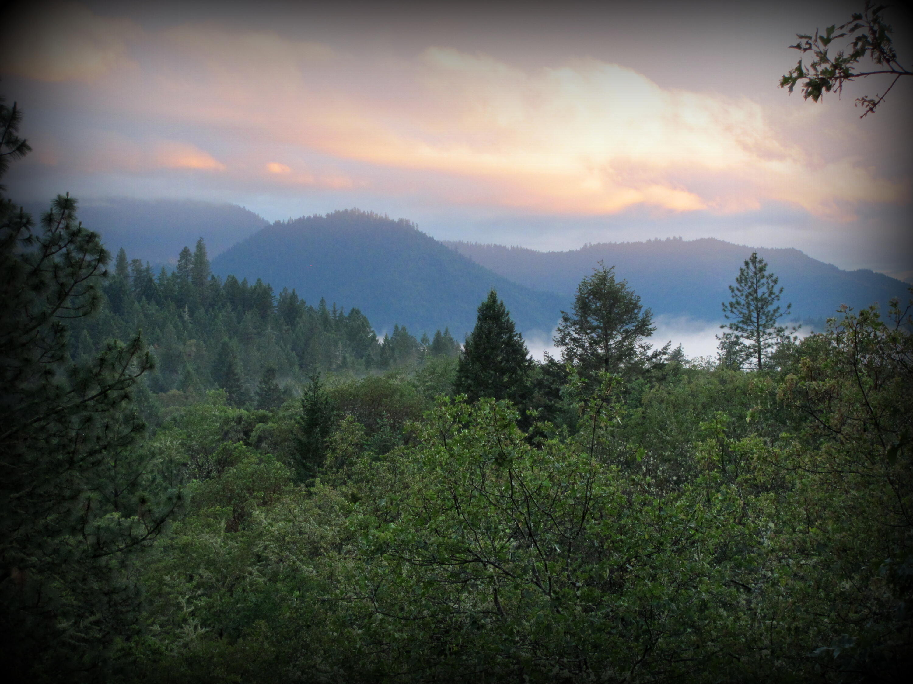 4806 Williams Highway