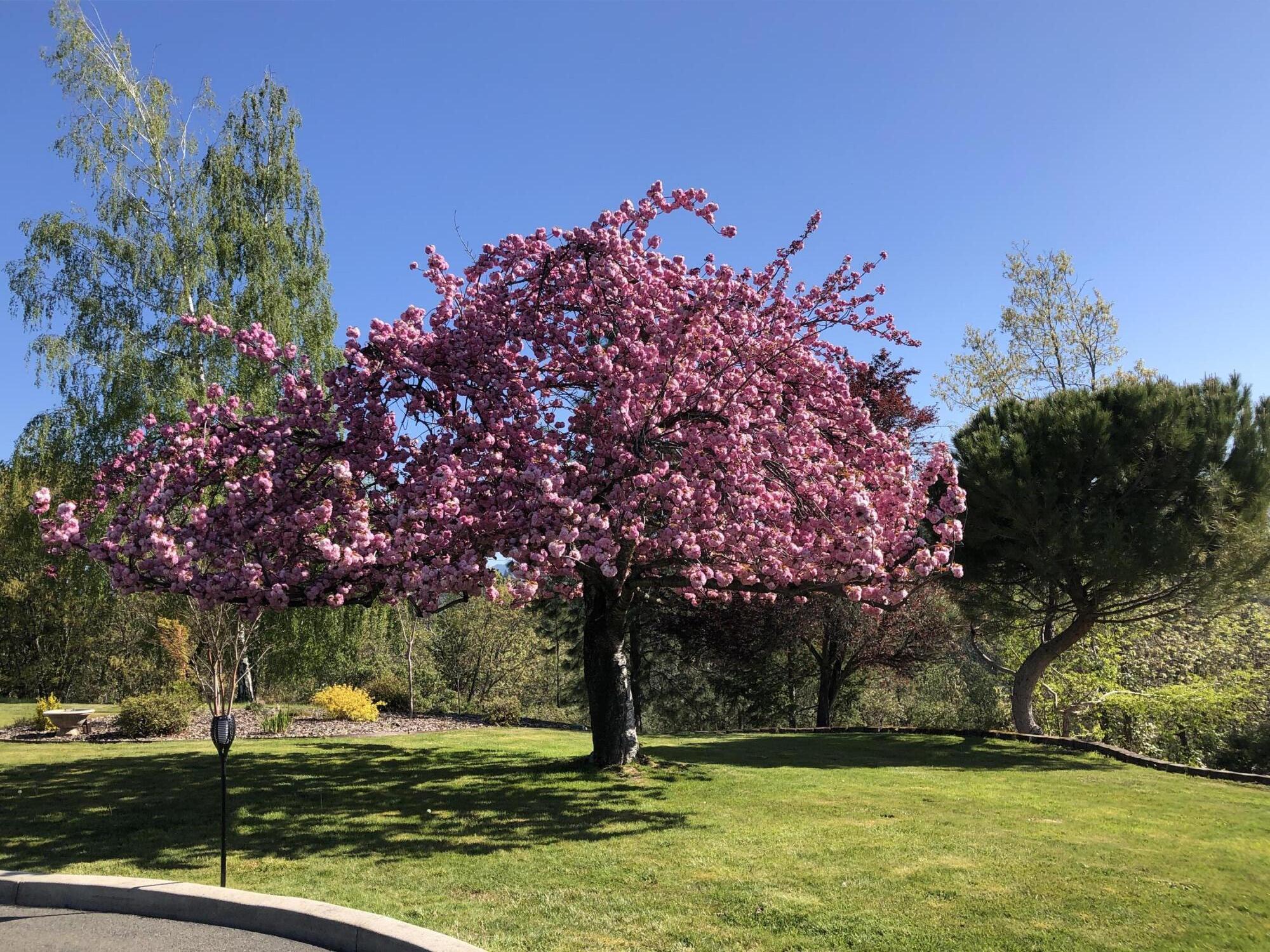 4806 Williams Highway