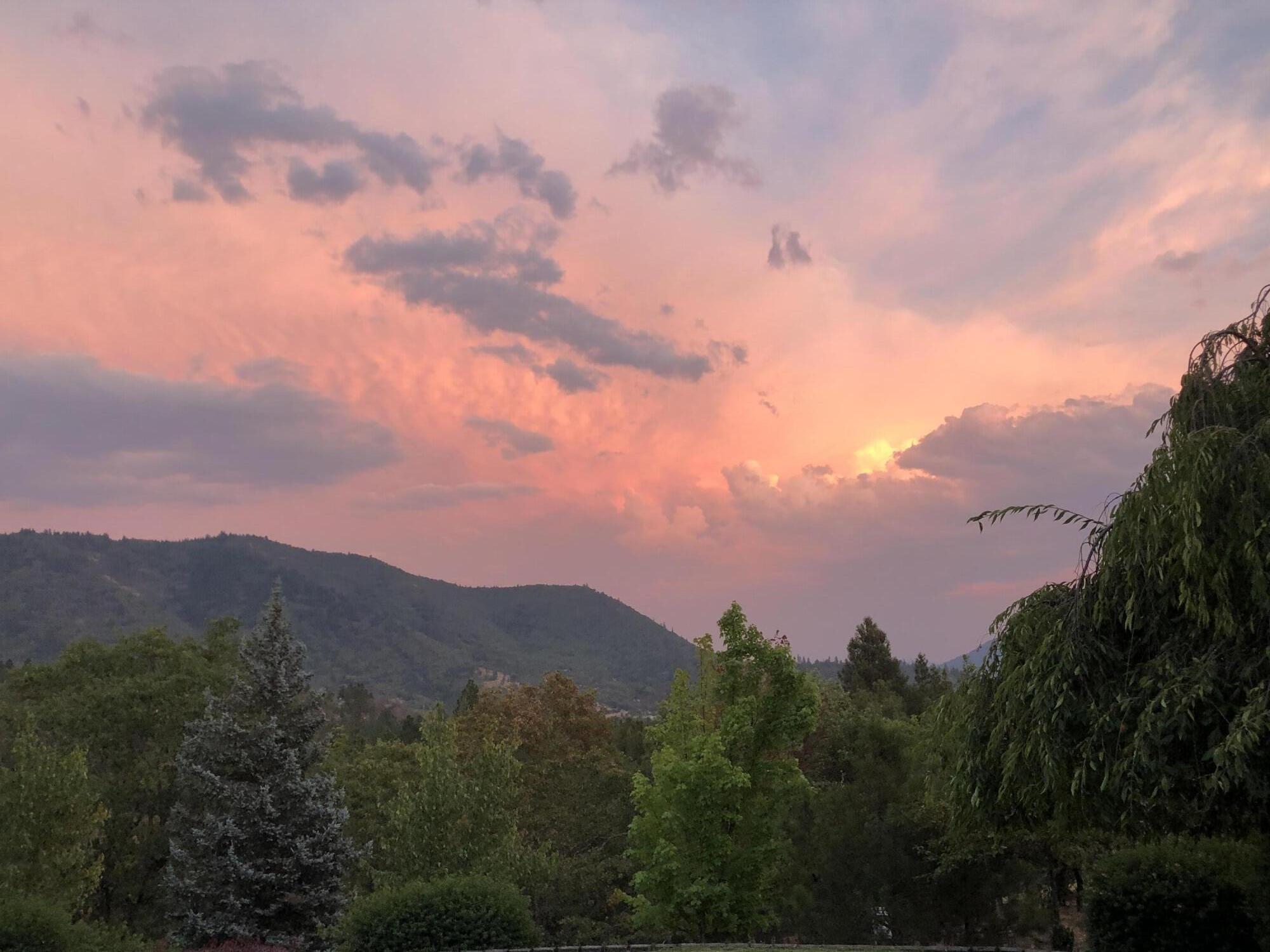 4806 Williams Highway