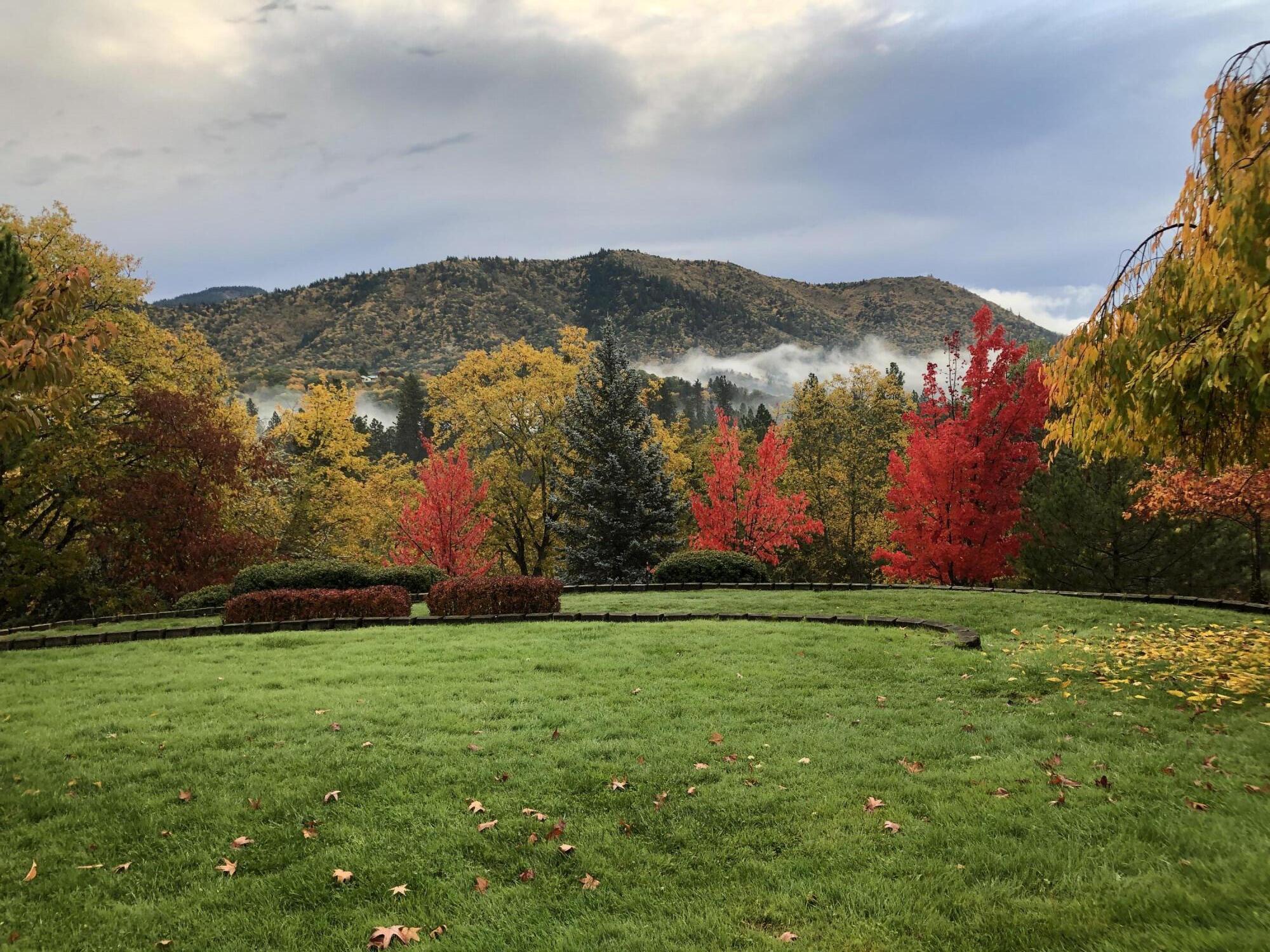 4806 Williams Highway