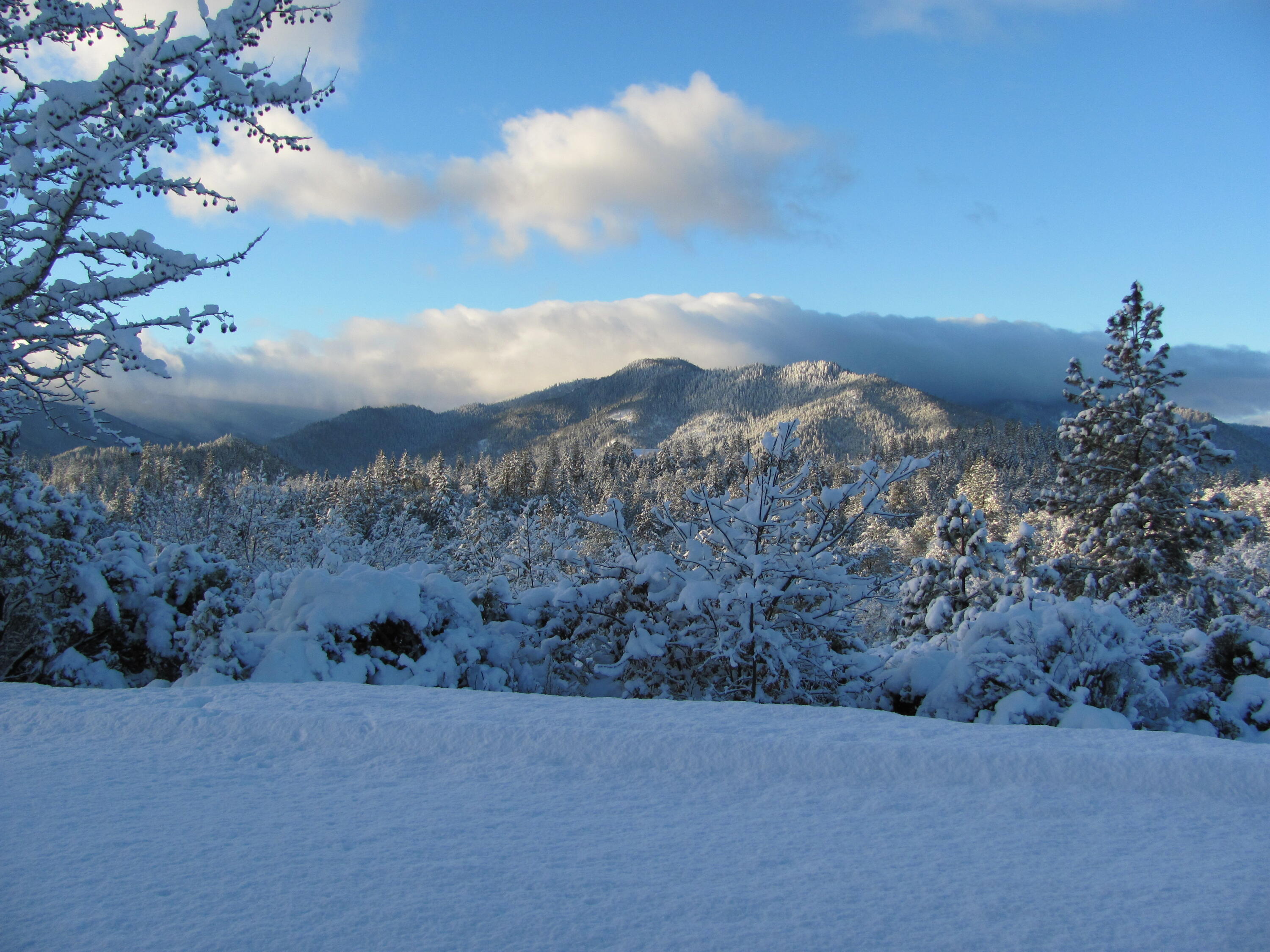 4806 Williams Highway