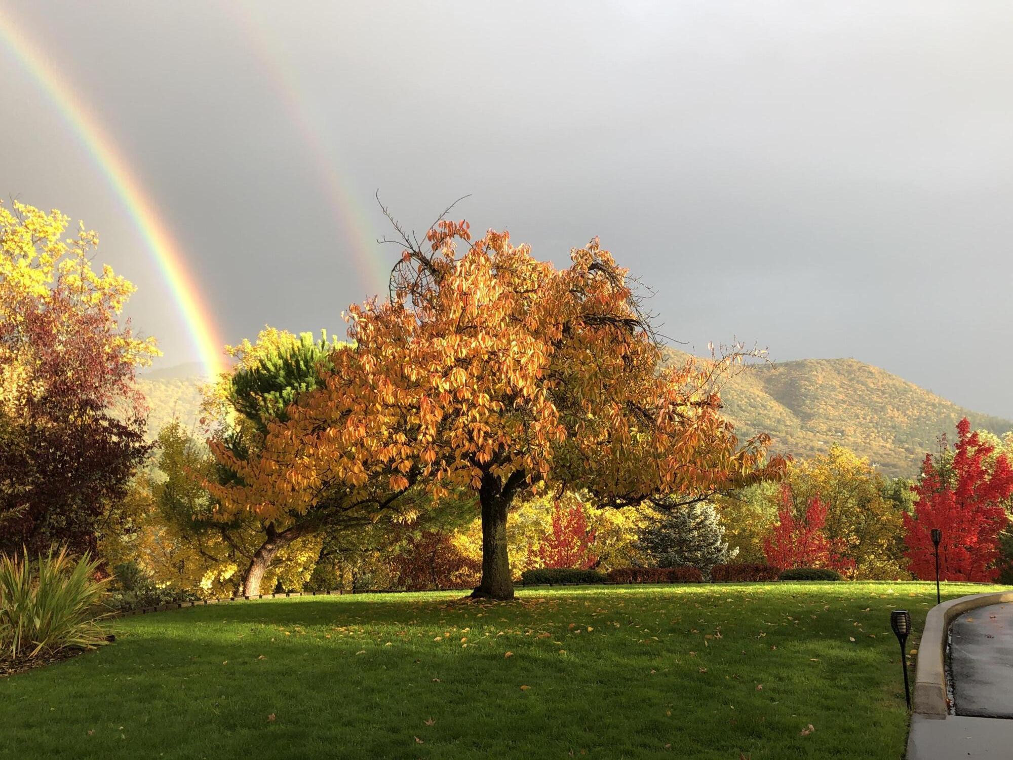 4806 Williams Highway