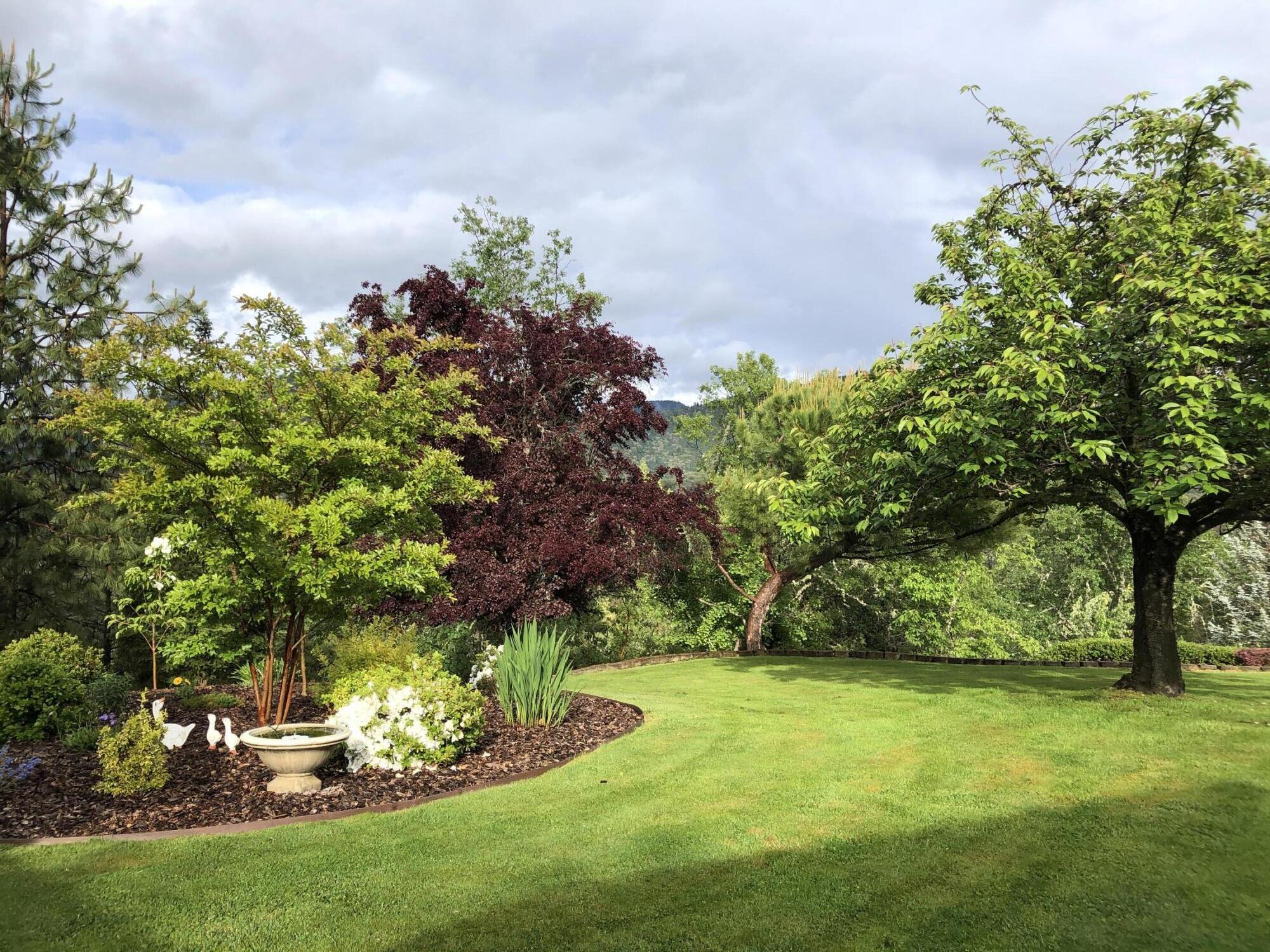 4806 Williams Highway