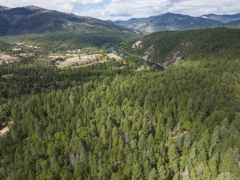 615 W Hawksdale Drive, TL303