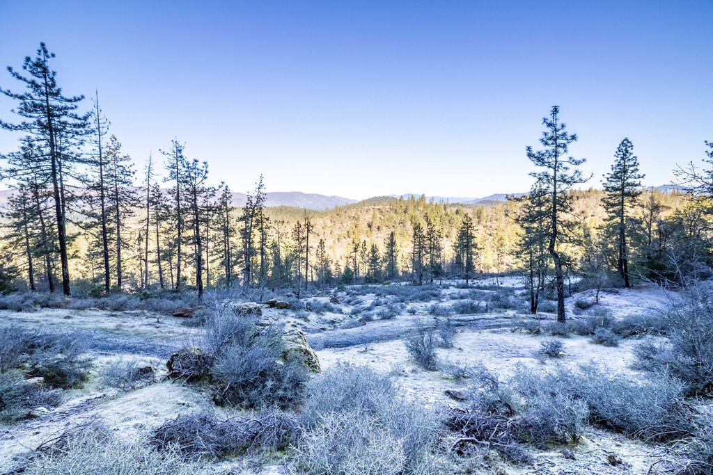 0 Waldo Road, 403, O'Brien Unit: 403